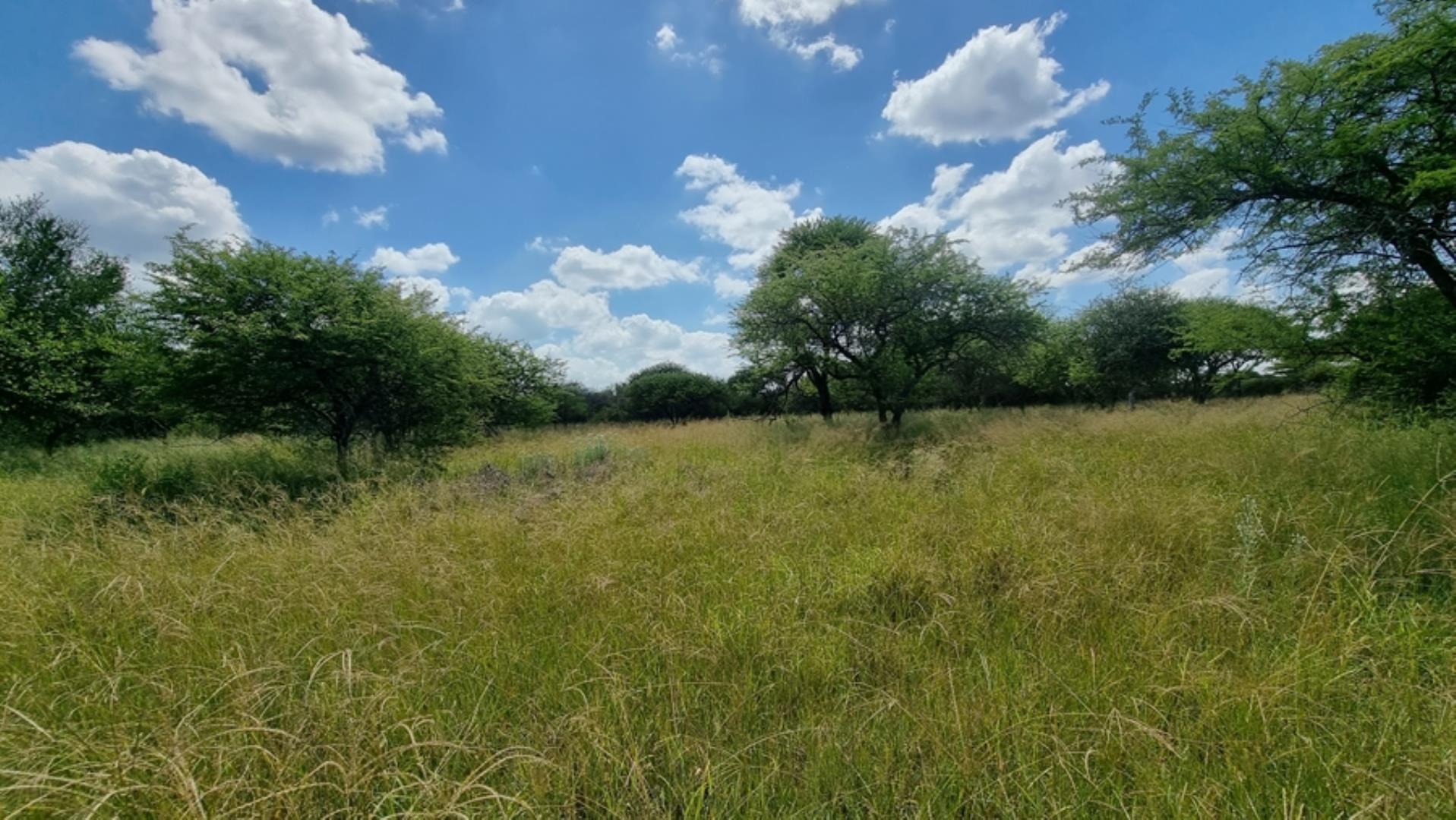 753295_772ha_Cattle_and_Game_Farm_Combination_Farm_for_Sale_Springbokflats_(31).jpg