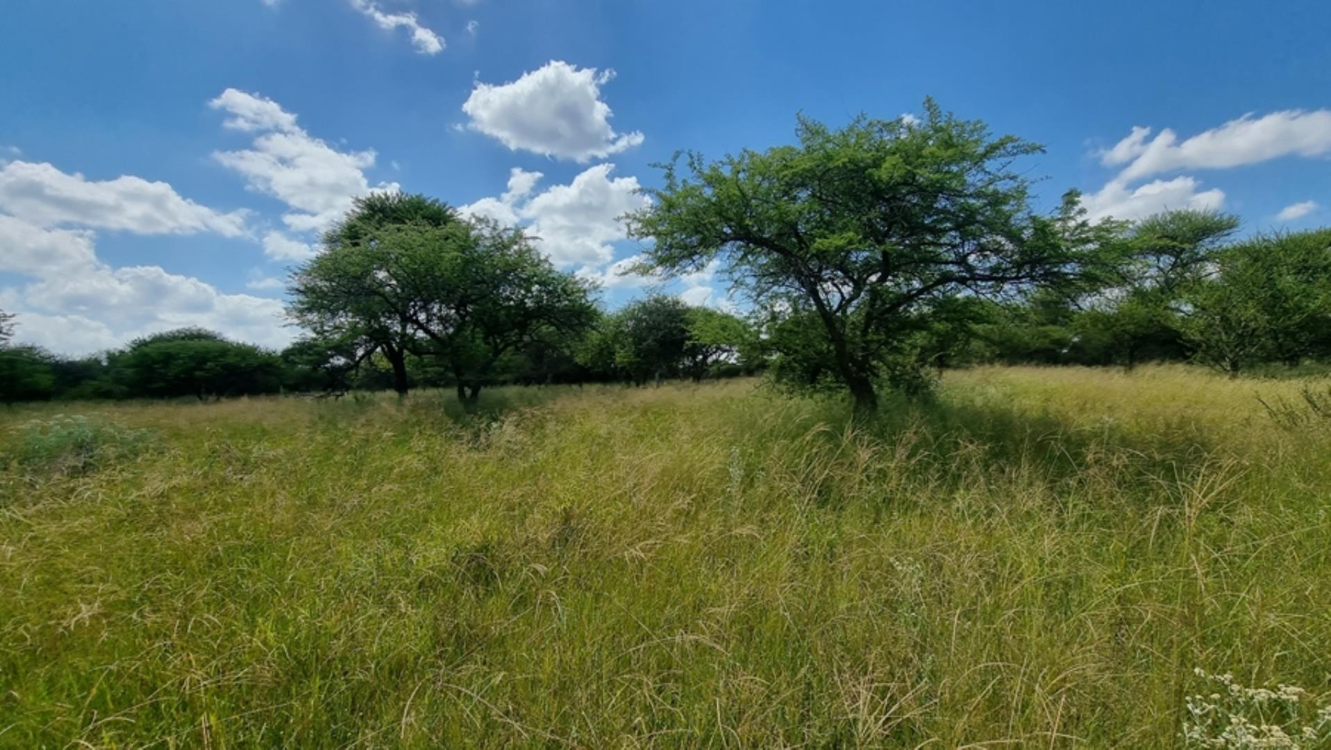 753295_772ha_Cattle_and_Game_Farm_Combination_Farm_for_Sale_Springbokflats_(32).jpg