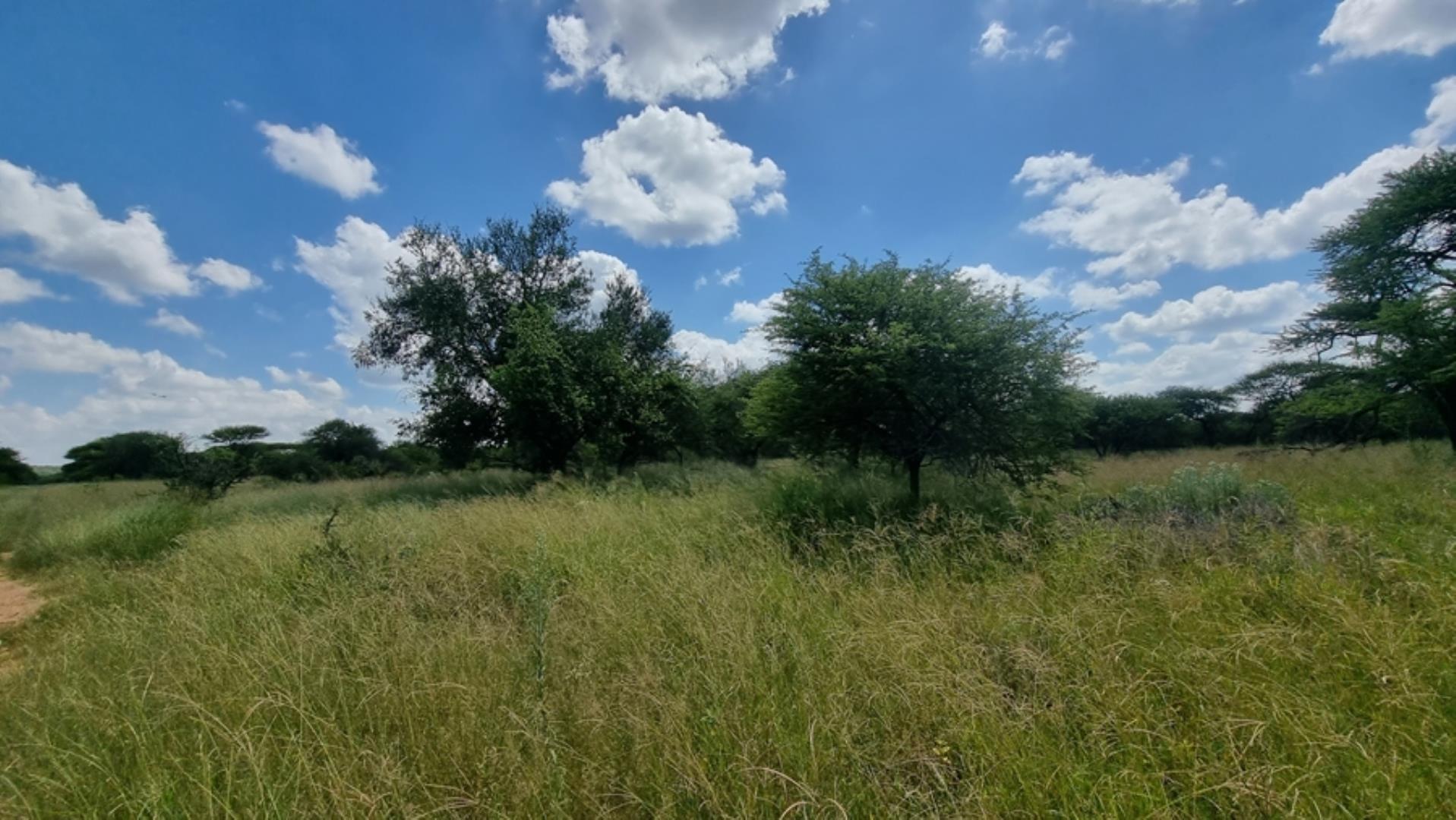 753295_772ha_Cattle_and_Game_Farm_Combination_Farm_for_Sale_Springbokflats_(33).jpg