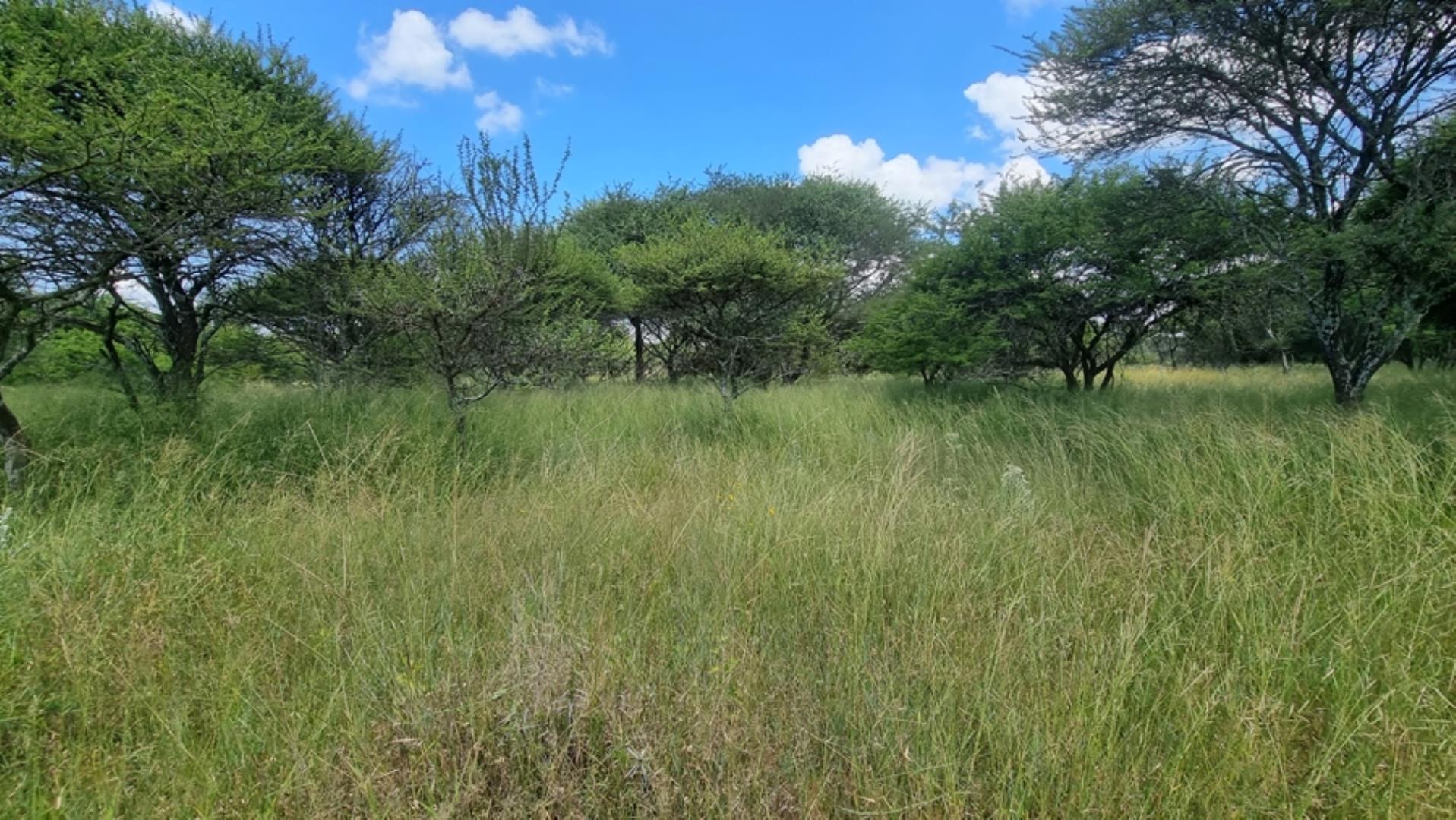 753295_772ha_Cattle_and_Game_Farm_Combination_Farm_for_Sale_Springbokflats_(34).jpg