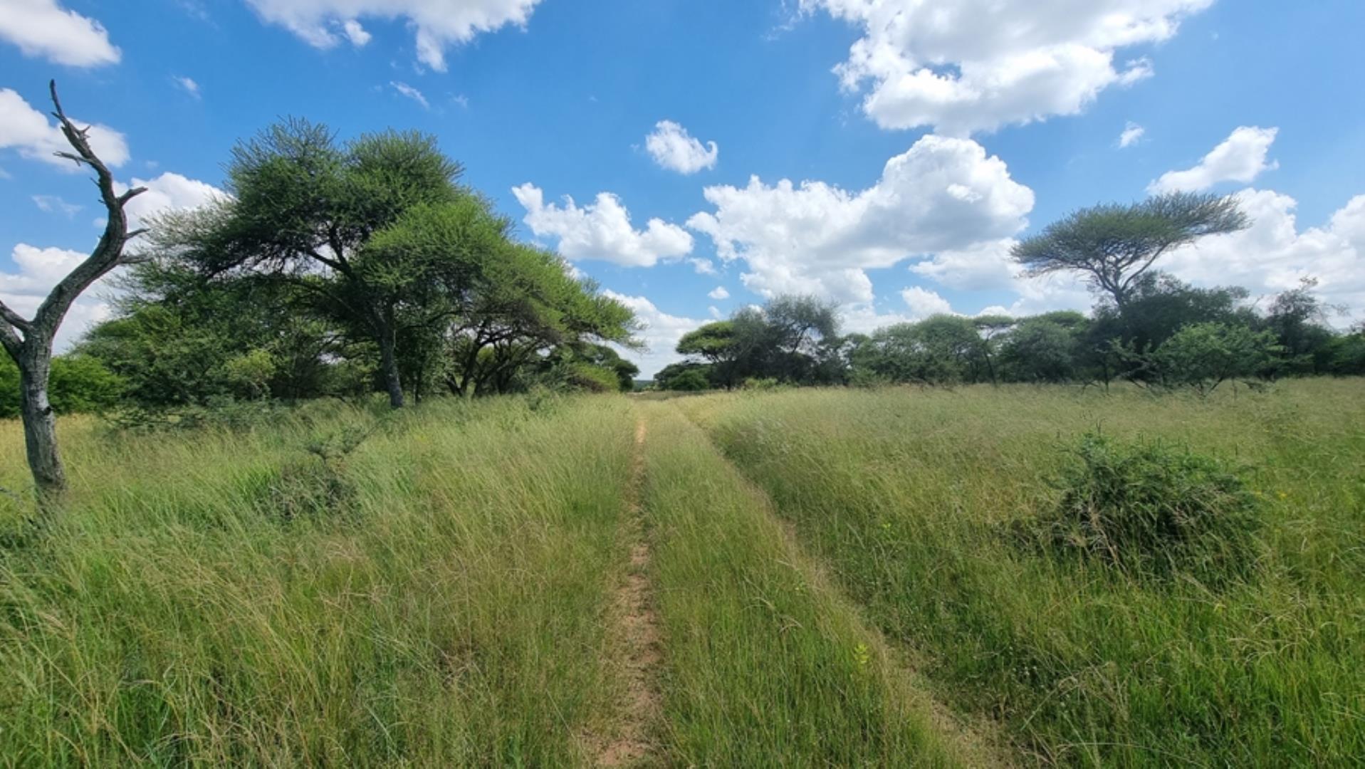 753295_772ha_Cattle_and_Game_Farm_Combination_Farm_for_Sale_Springbokflats_(35).jpg