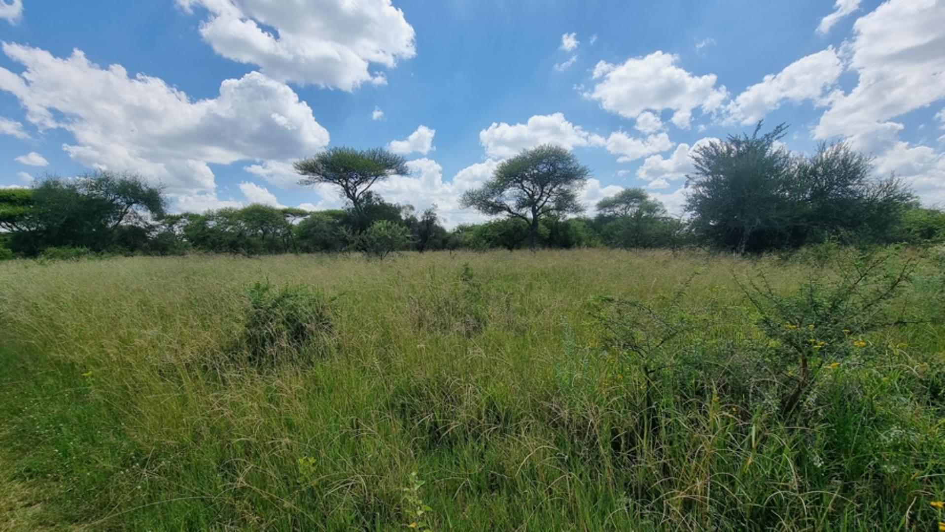 753295_772ha_Cattle_and_Game_Farm_Combination_Farm_for_Sale_Springbokflats_(36).jpg