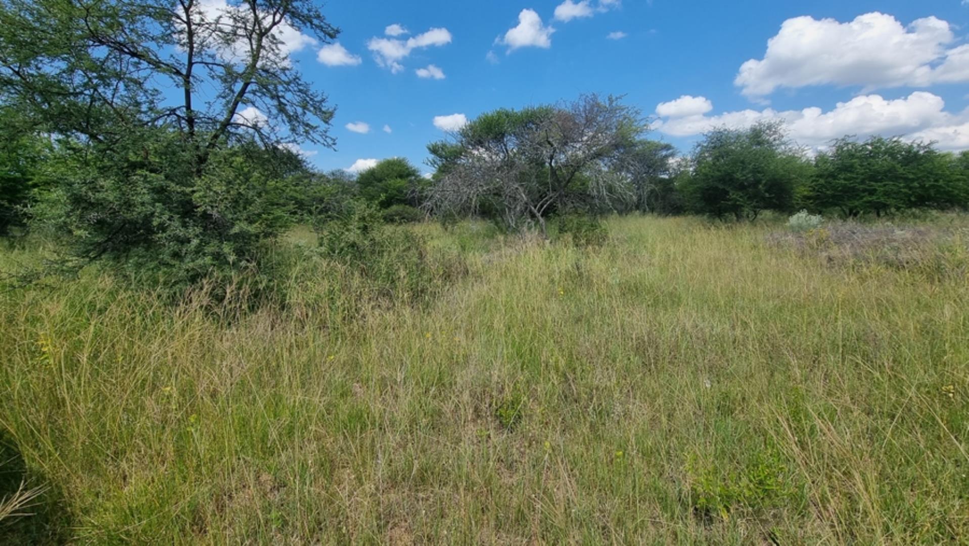 753295_772ha_Cattle_and_Game_Farm_Combination_Farm_for_Sale_Springbokflats_(37).jpg