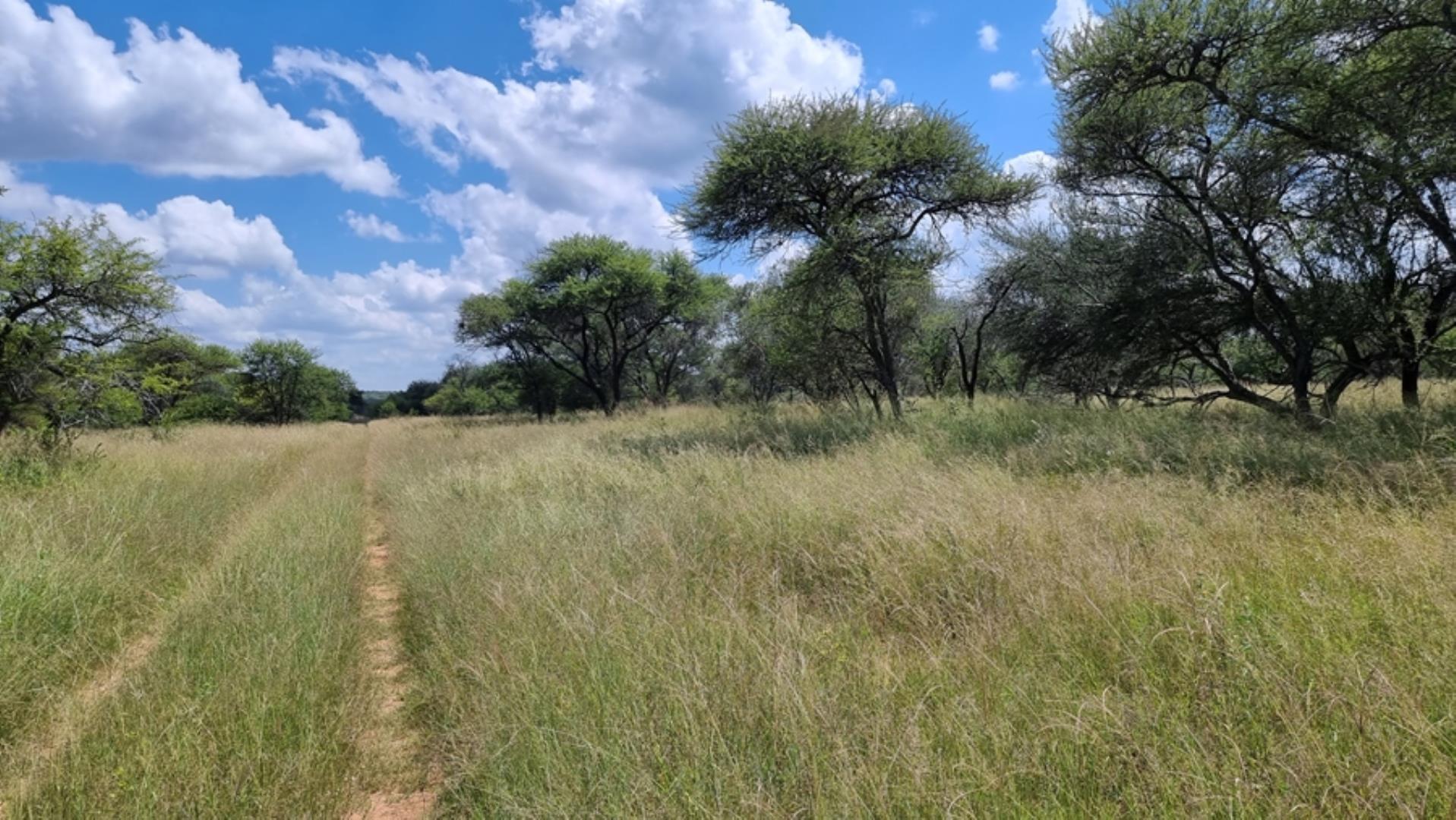 753295_772ha_Cattle_and_Game_Farm_Combination_Farm_for_Sale_Springbokflats_(38).jpg