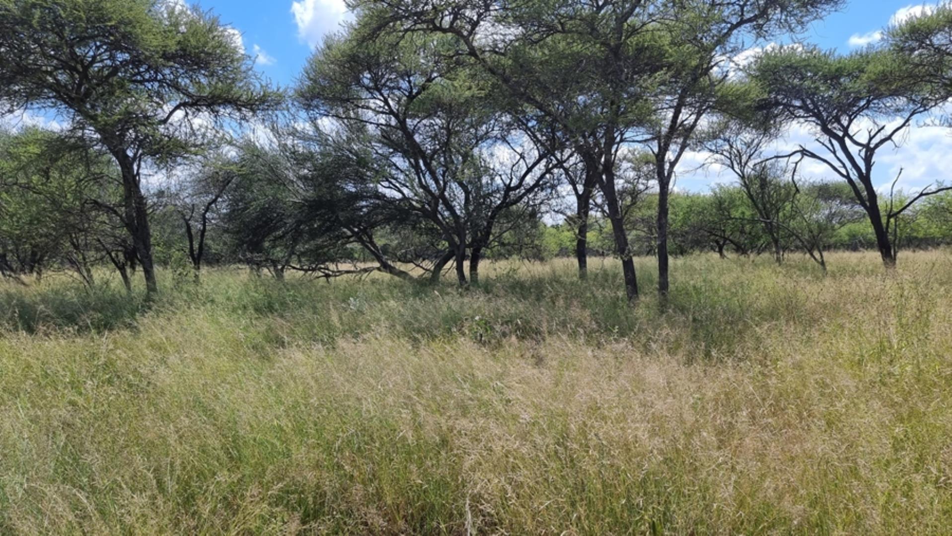 753295_772ha_Cattle_and_Game_Farm_Combination_Farm_for_Sale_Springbokflats_(39).jpg