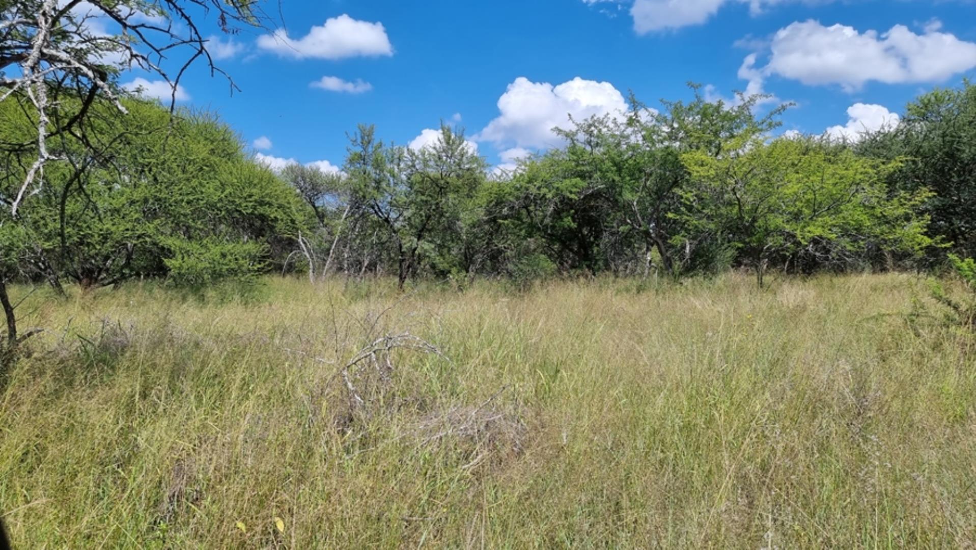753295_772ha_Cattle_and_Game_Farm_Combination_Farm_for_Sale_Springbokflats_(40).jpg