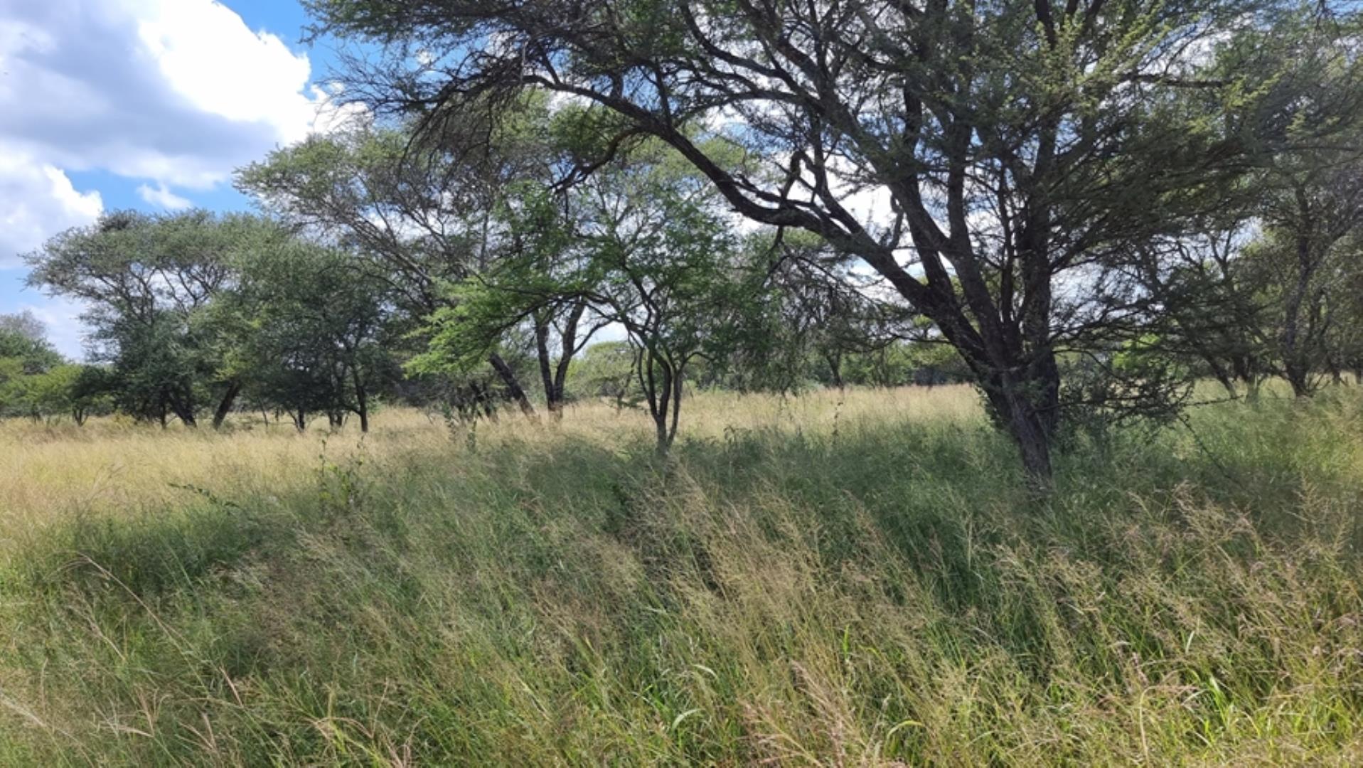 753295_772ha_Cattle_and_Game_Farm_Combination_Farm_for_Sale_Springbokflats_(41).jpg