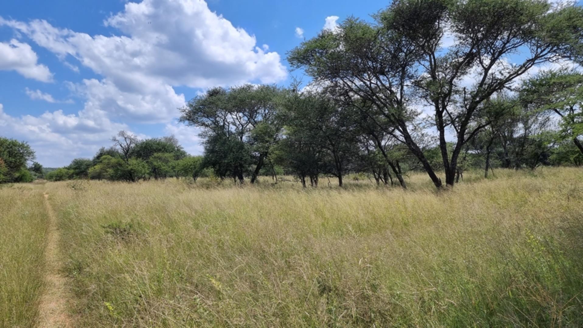 753295_772ha_Cattle_and_Game_Farm_Combination_Farm_for_Sale_Springbokflats_(42).jpg