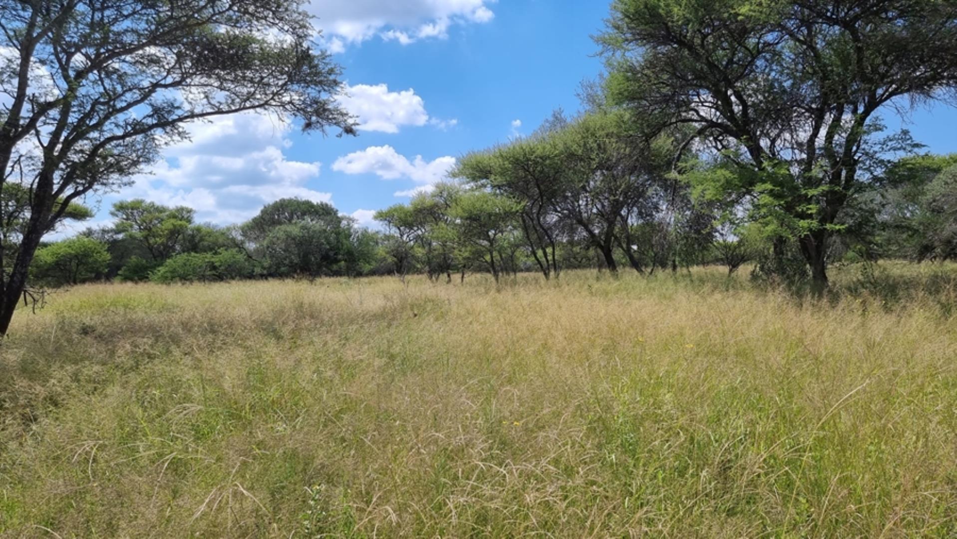 753295_772ha_Cattle_and_Game_Farm_Combination_Farm_for_Sale_Springbokflats_(44).jpg