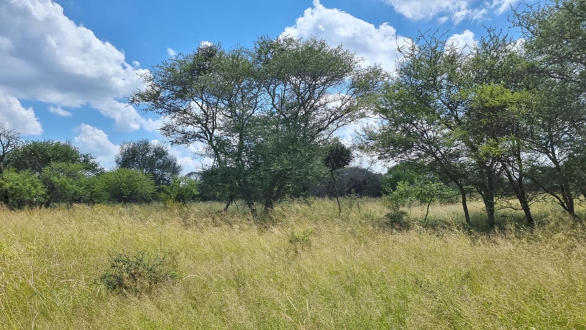 753295_772ha_Cattle_and_Game_Farm_Combination_Farm_for_Sale_Springbokflats_(45).jpg