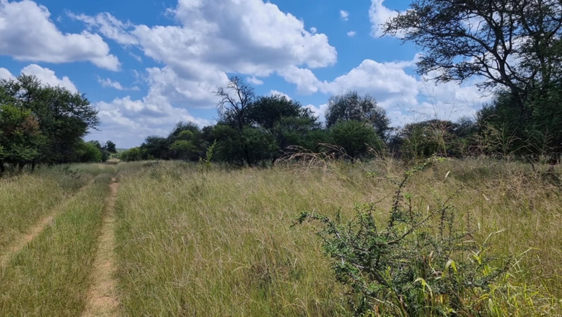 753295_772ha_Cattle_and_Game_Farm_Combination_Farm_for_Sale_Springbokflats_(46).jpg