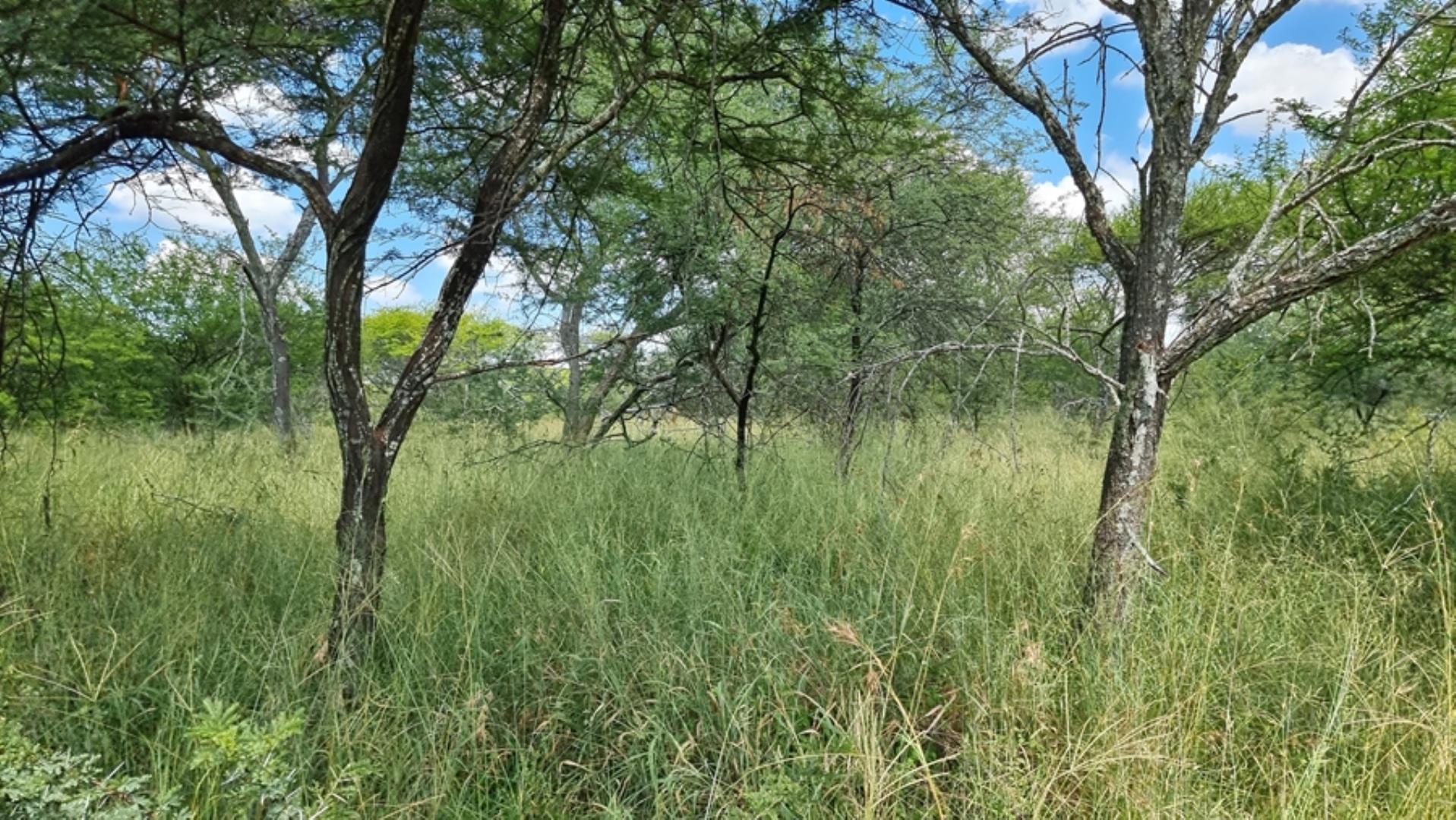 753295_772ha_Cattle_and_Game_Farm_Combination_Farm_for_Sale_Springbokflats_(47).jpg