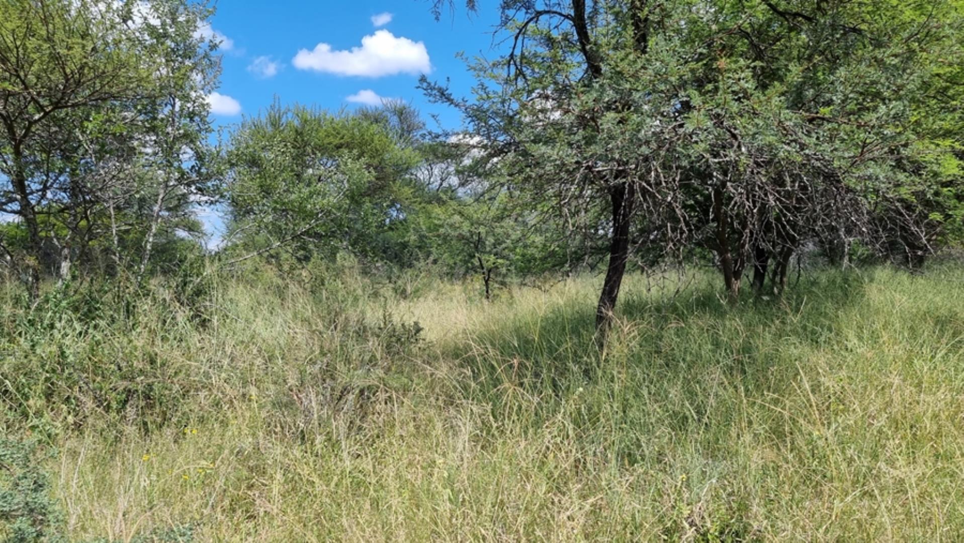 753295_772ha_Cattle_and_Game_Farm_Combination_Farm_for_Sale_Springbokflats_(48).jpg