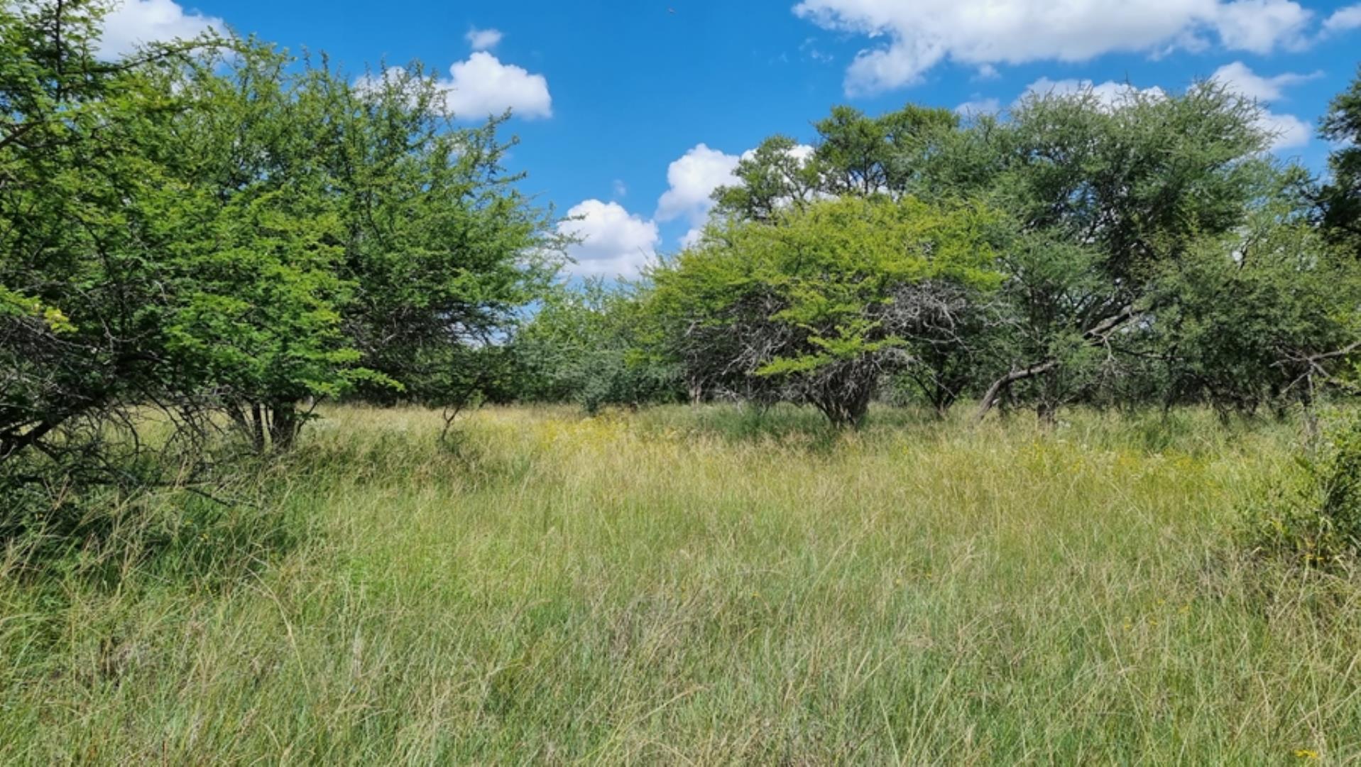 753295_772ha_Cattle_and_Game_Farm_Combination_Farm_for_Sale_Springbokflats_(51).jpg