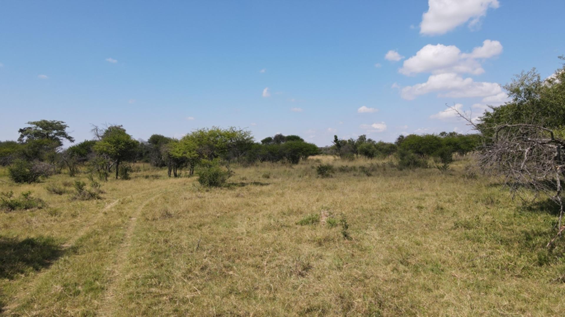 753295_772ha_Cattle_and_Game_Farm_Combination_Farm_for_Sale_Springbokflats_(52).jpg
