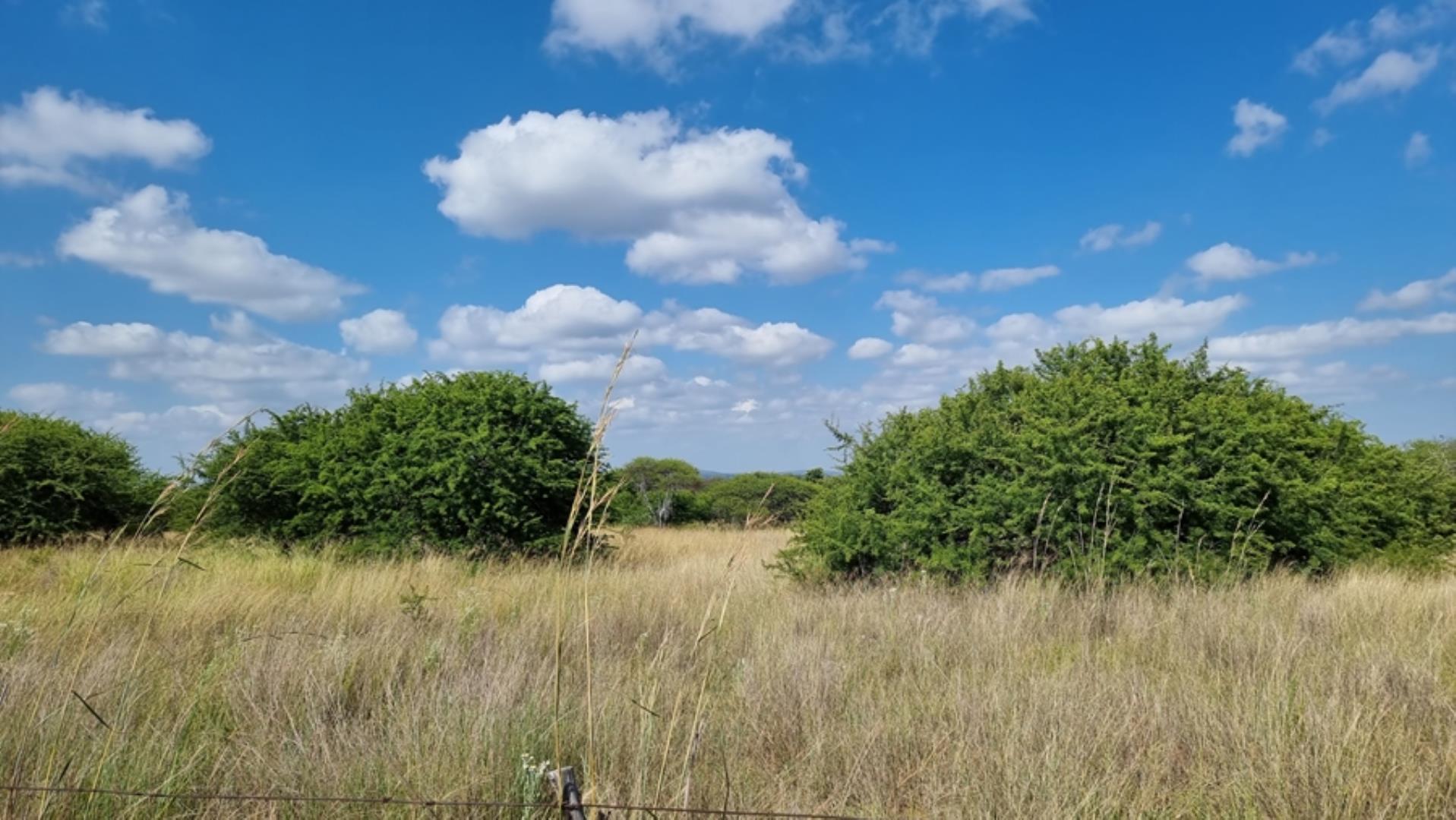 753295_772ha_Cattle_and_Game_Farm_Combination_Farm_for_Sale_Springbokflats_(6).jpg