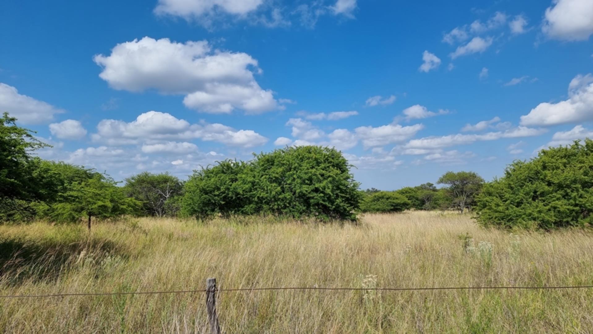 753295_772ha_Cattle_and_Game_Farm_Combination_Farm_for_Sale_Springbokflats_(7).jpg