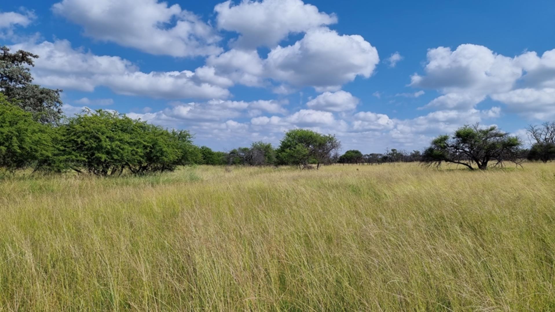 753295_772ha_Cattle_and_Game_Farm_Combination_Farm_for_Sale_Springbokflats_(8).jpg