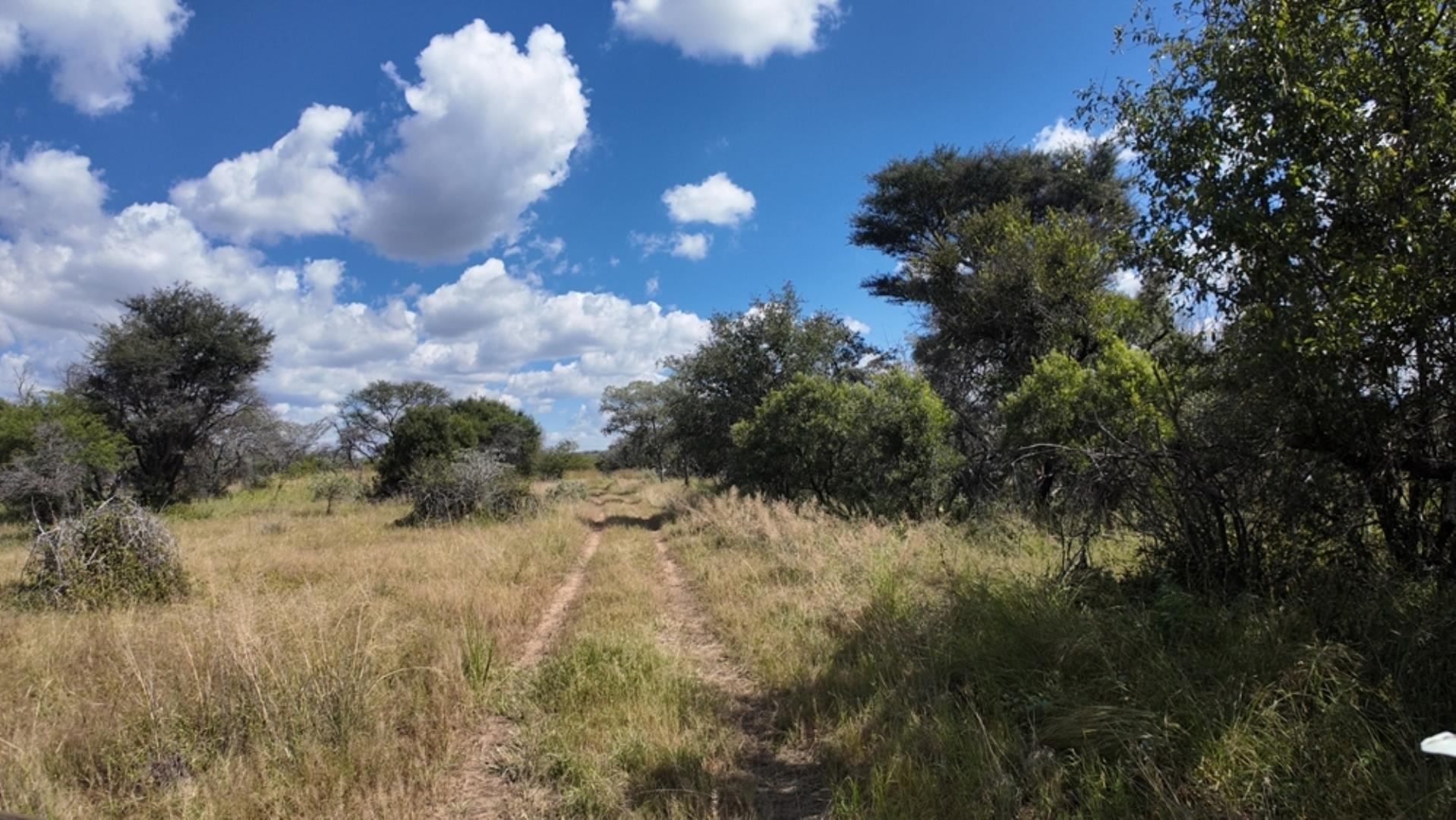 753301_77ha_Game_Farm_For__Sale_Naboomspruit_(54).jpeg