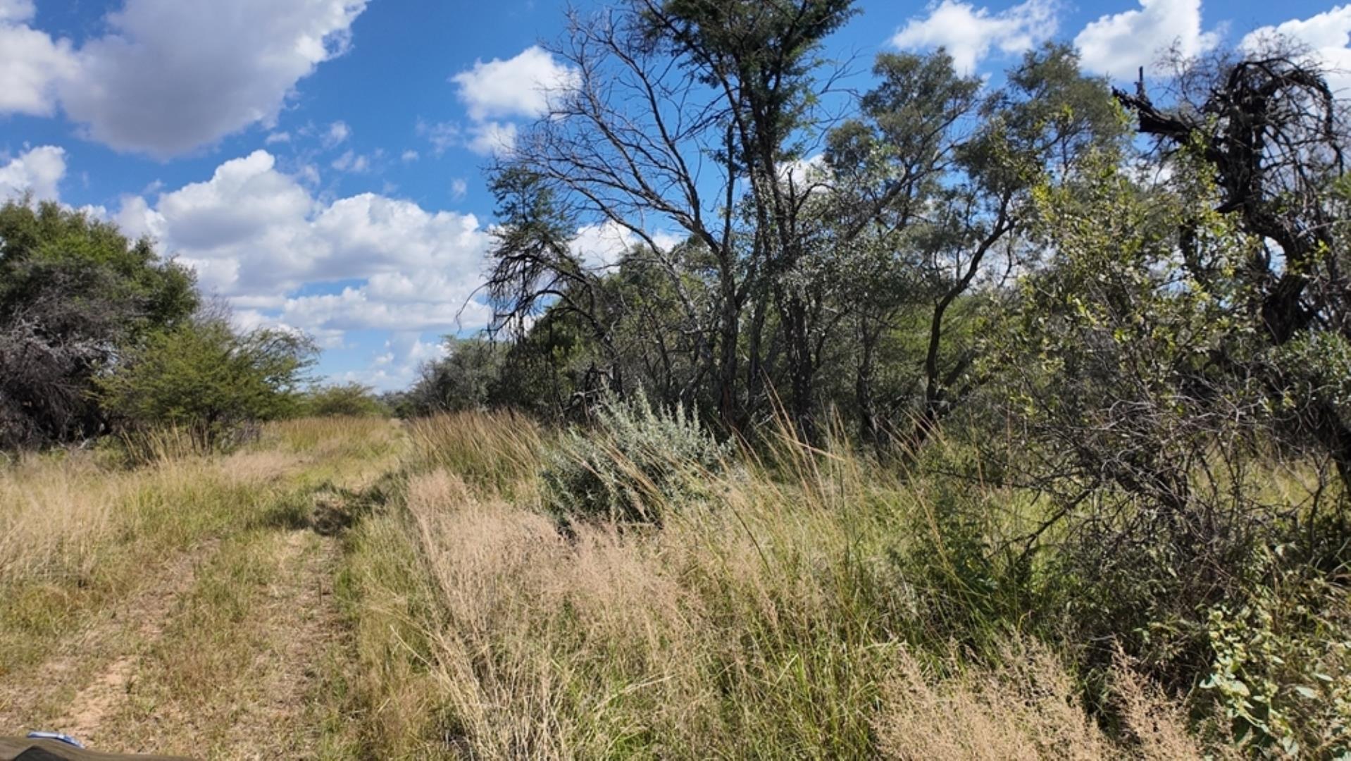 753301_77ha_Game_Farm_For__Sale_Naboomspruit_(55).jpeg