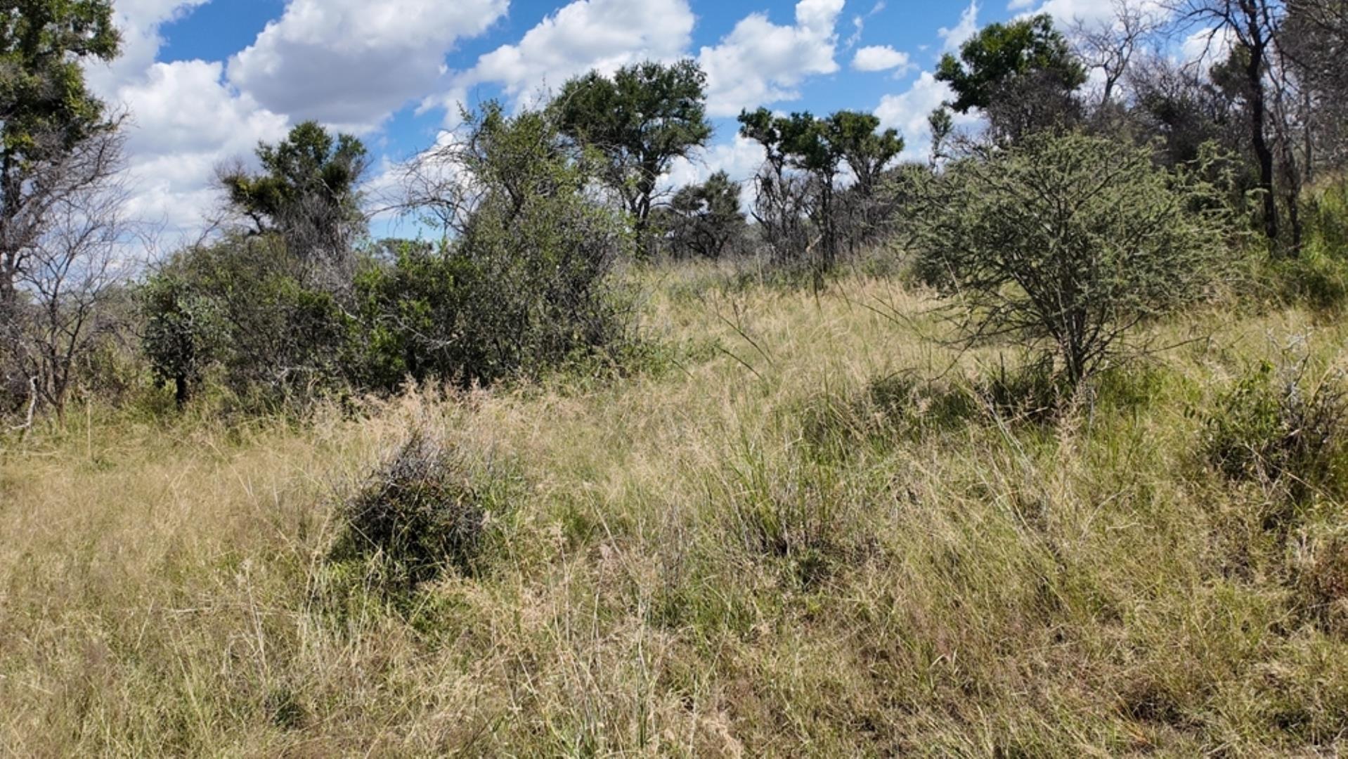 753301_77ha_Game_Farm_For__Sale_Naboomspruit_(56).jpeg