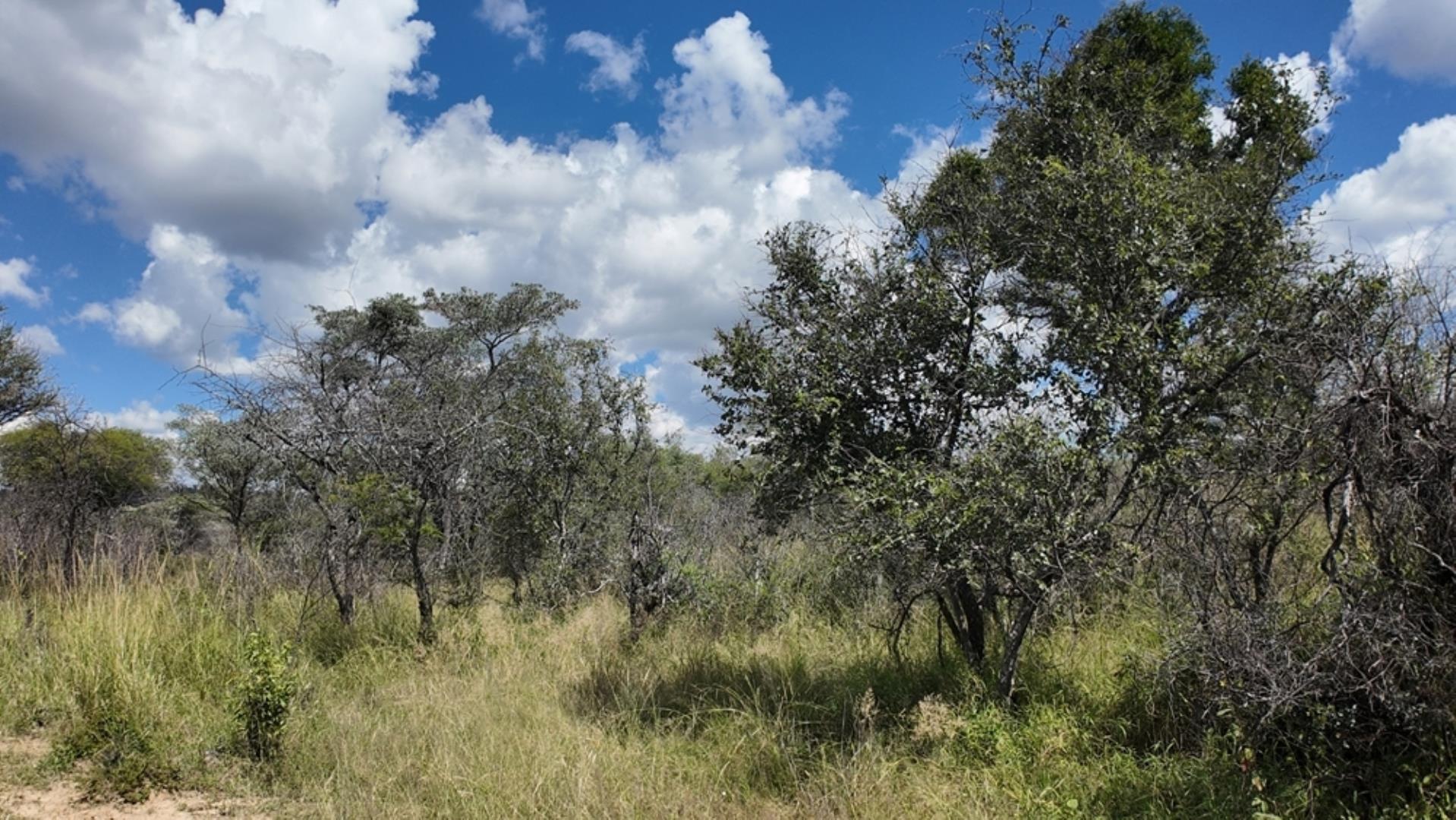 753301_77ha_Game_Farm_For__Sale_Naboomspruit_(57).jpeg