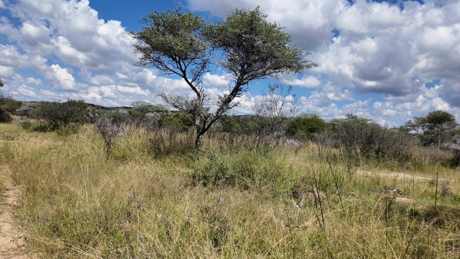753301_77ha_Game_Farm_For__Sale_Naboomspruit_(58).jpeg