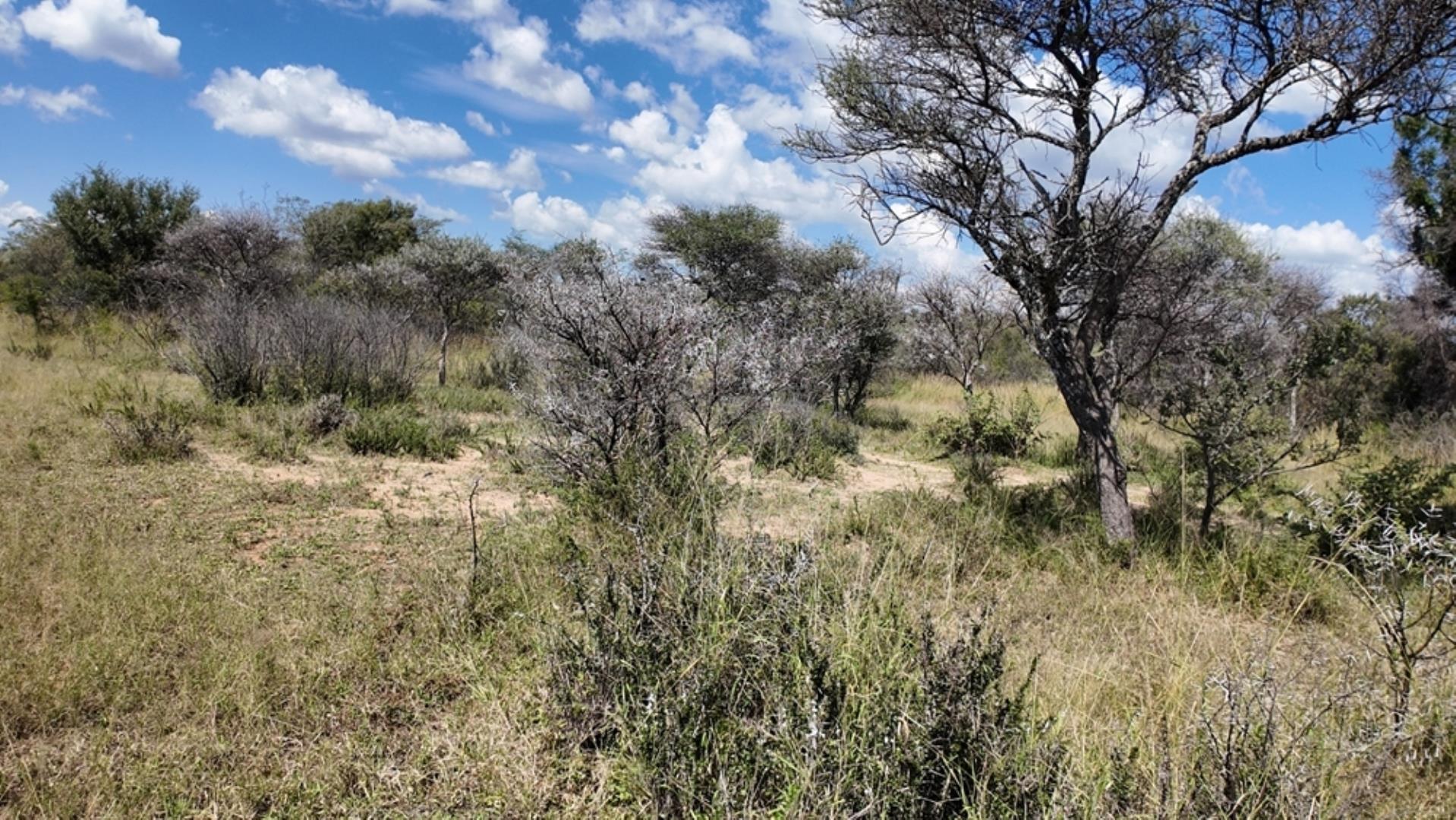 753301_77ha_Game_Farm_For__Sale_Naboomspruit_(59).jpeg