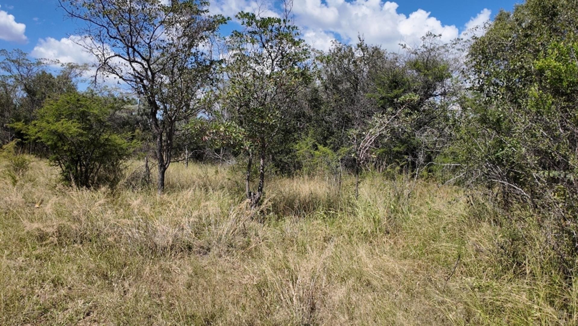 753301_77ha_Game_Farm_For__Sale_Naboomspruit_(60).jpeg