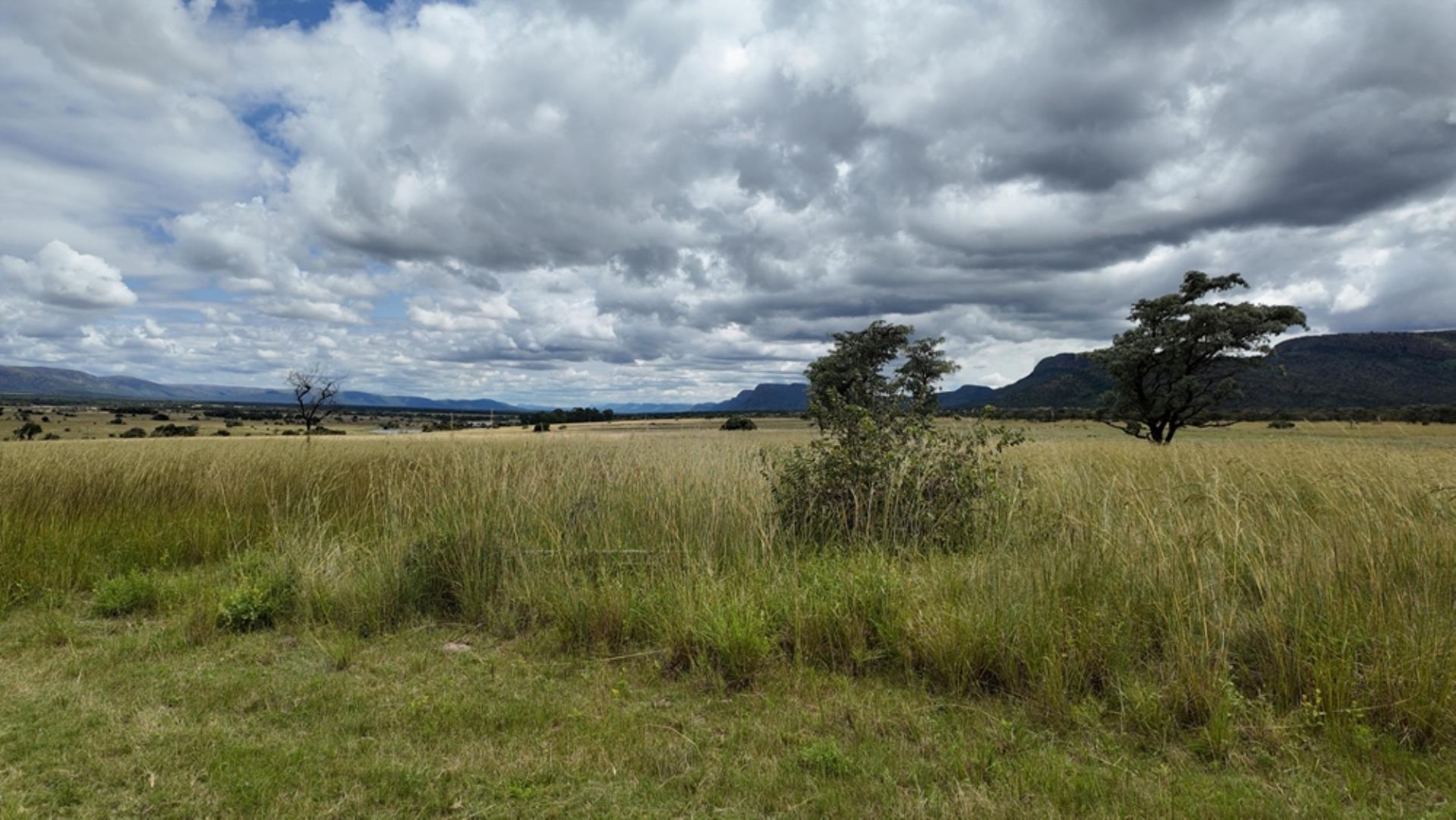 753503_Game_Farm_FOR_SALE_Naboomspruit_352_(8).jpeg