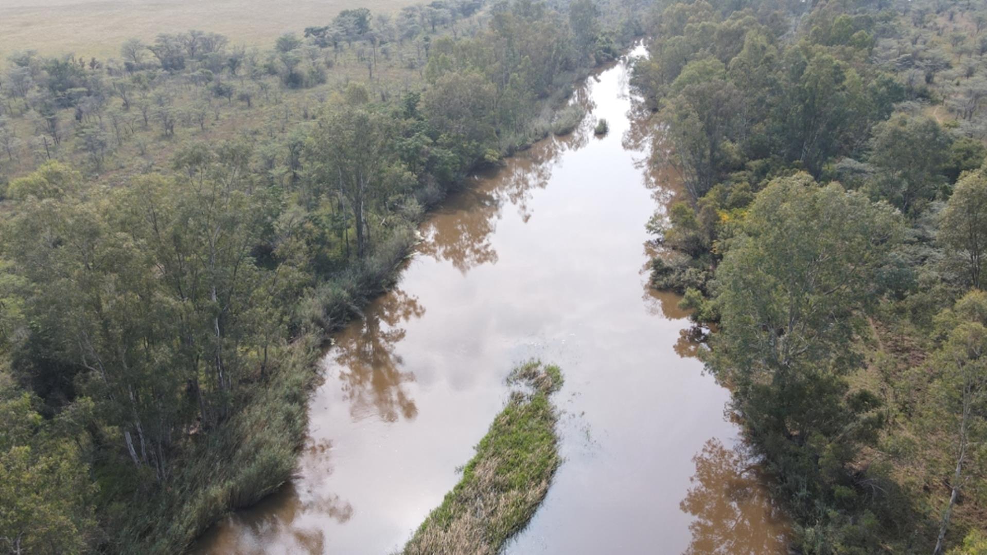 753709_1600ha_Vaalwater_Irrigation_and_Cattle_Farm_for_Sale_(67).jpeg