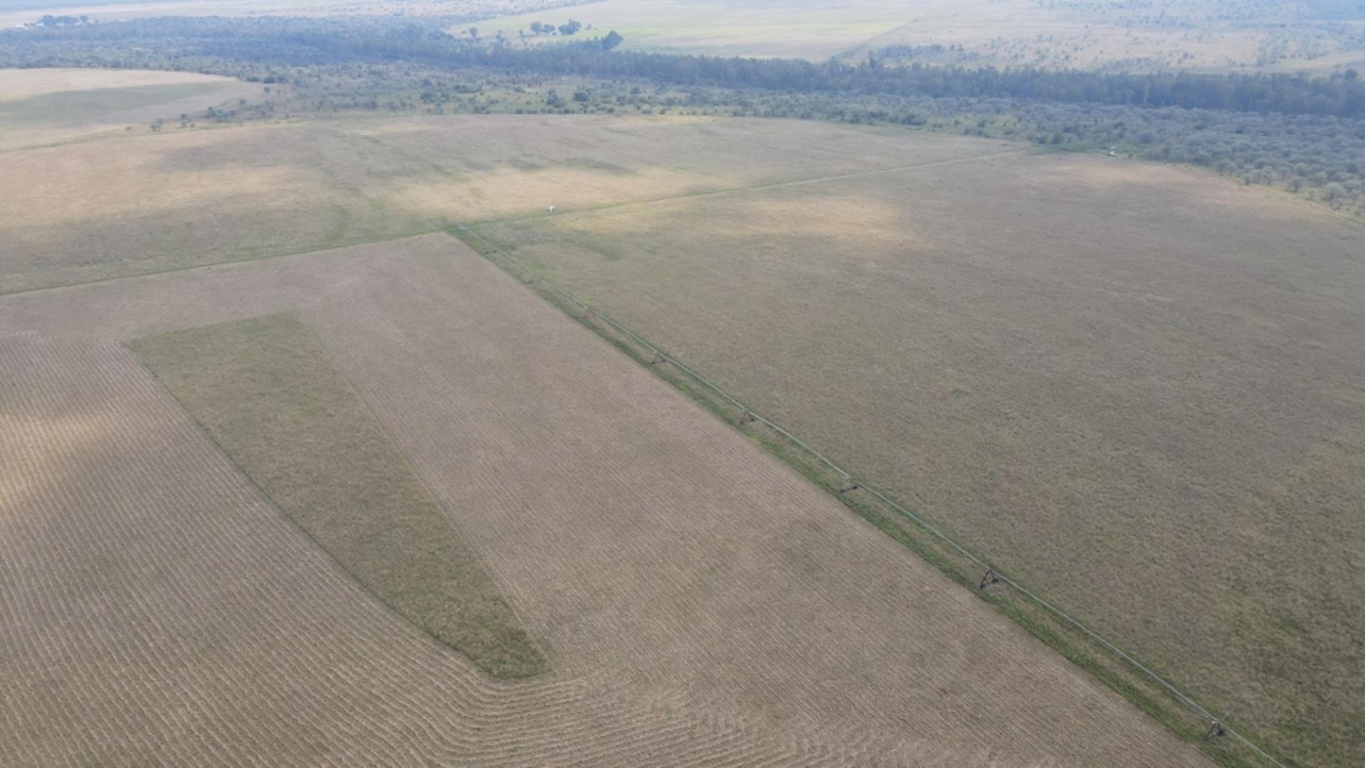 753709_1600ha_Vaalwater_Irrigation_and_Cattle_Farm_for_Sale_(80).jpeg
