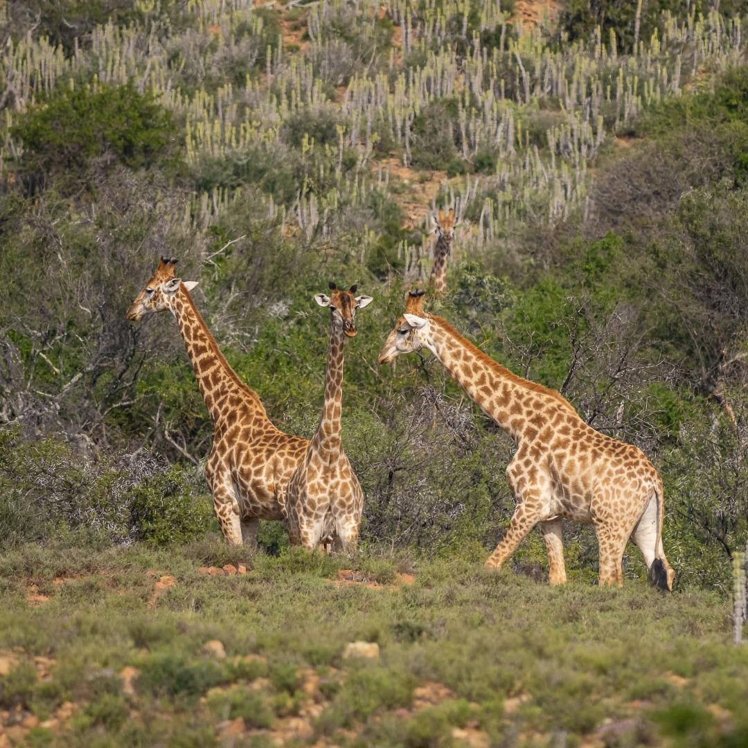 756658_52.jpg