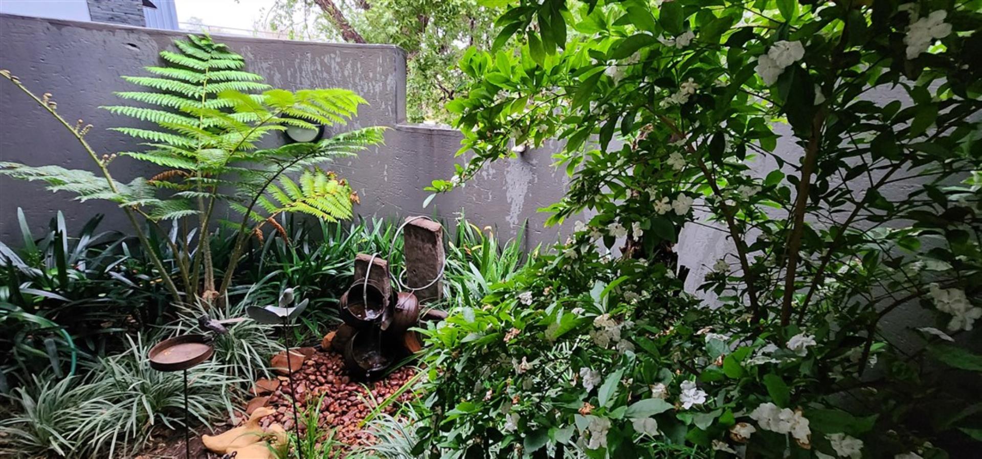 756806_Water_feature.jpg