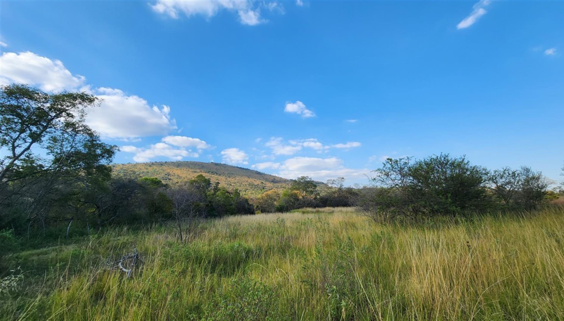 757349_Bushveld_grazing_1.jpg