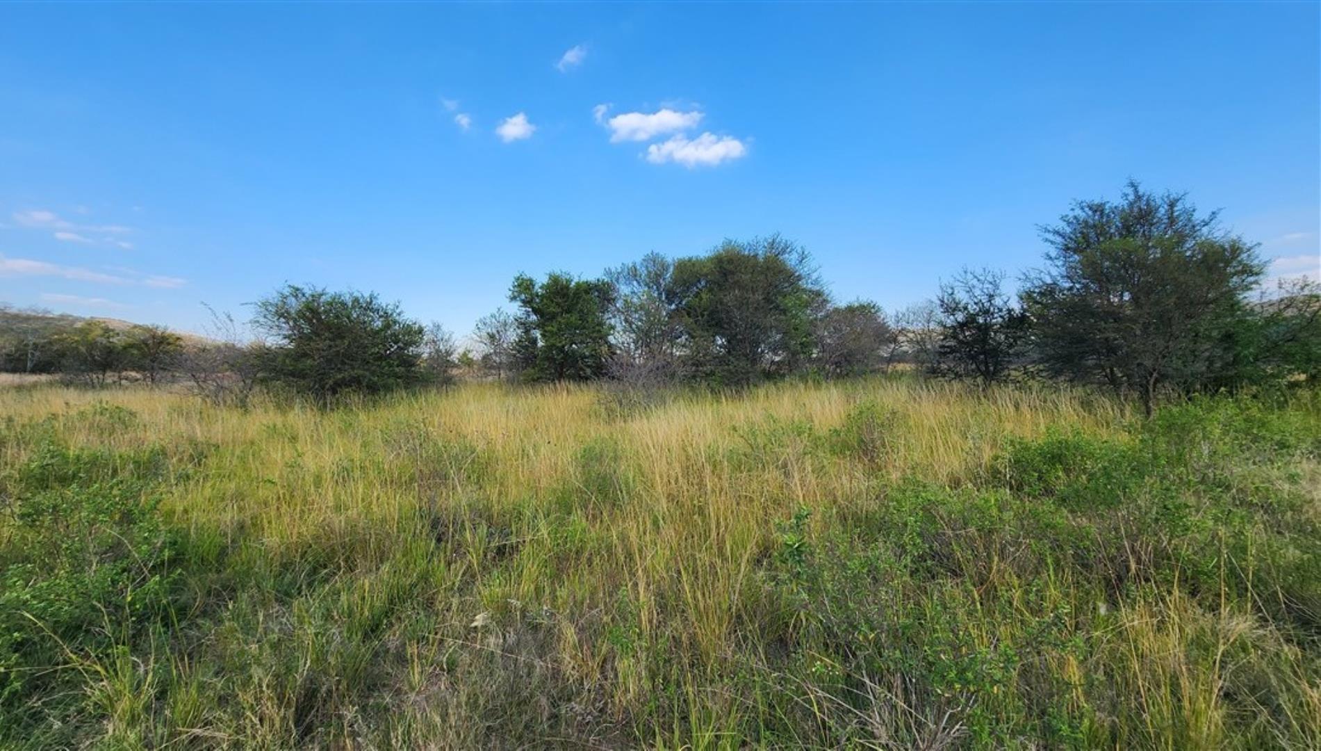757349_Bushveld_grazing_2.jpg