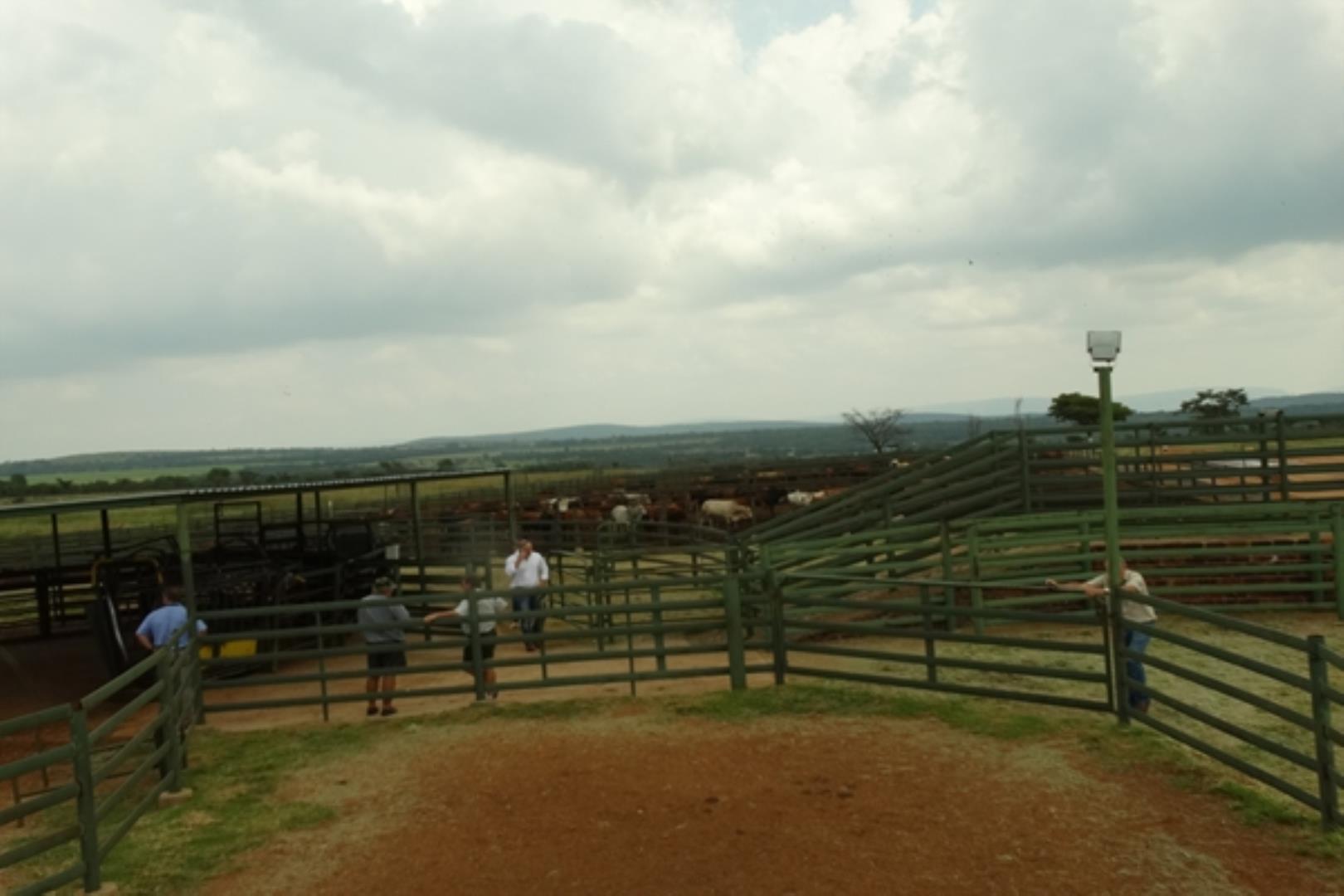 761335_1419ha_Feedlot___Irrigation_and_Game_Combination_Farm_for_Sale_Naboomspruit_(110).jpg
