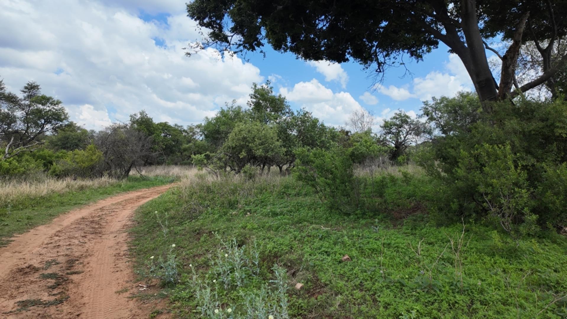 761451_520ha_Modimolle_farm_for_sale_(18).jpeg