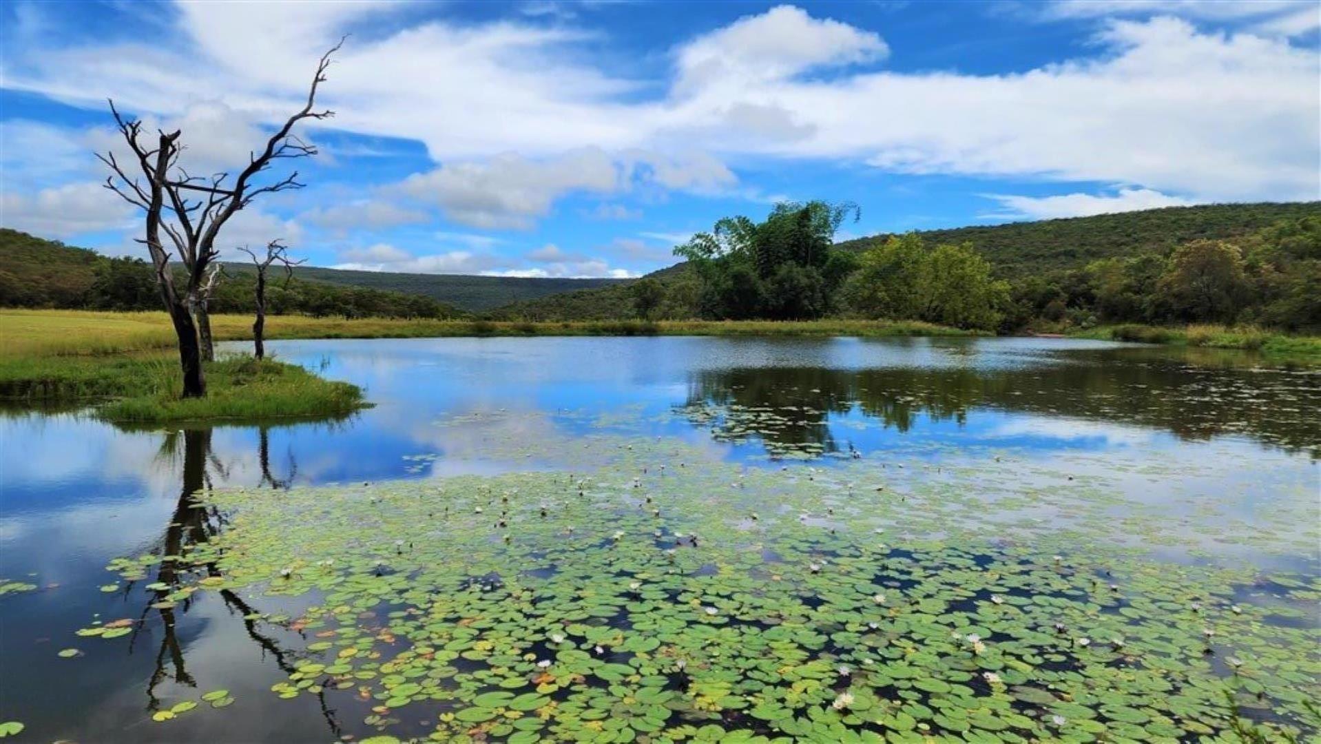 25 Bedroom Game Farm or Lodge for Sale - Limpopo