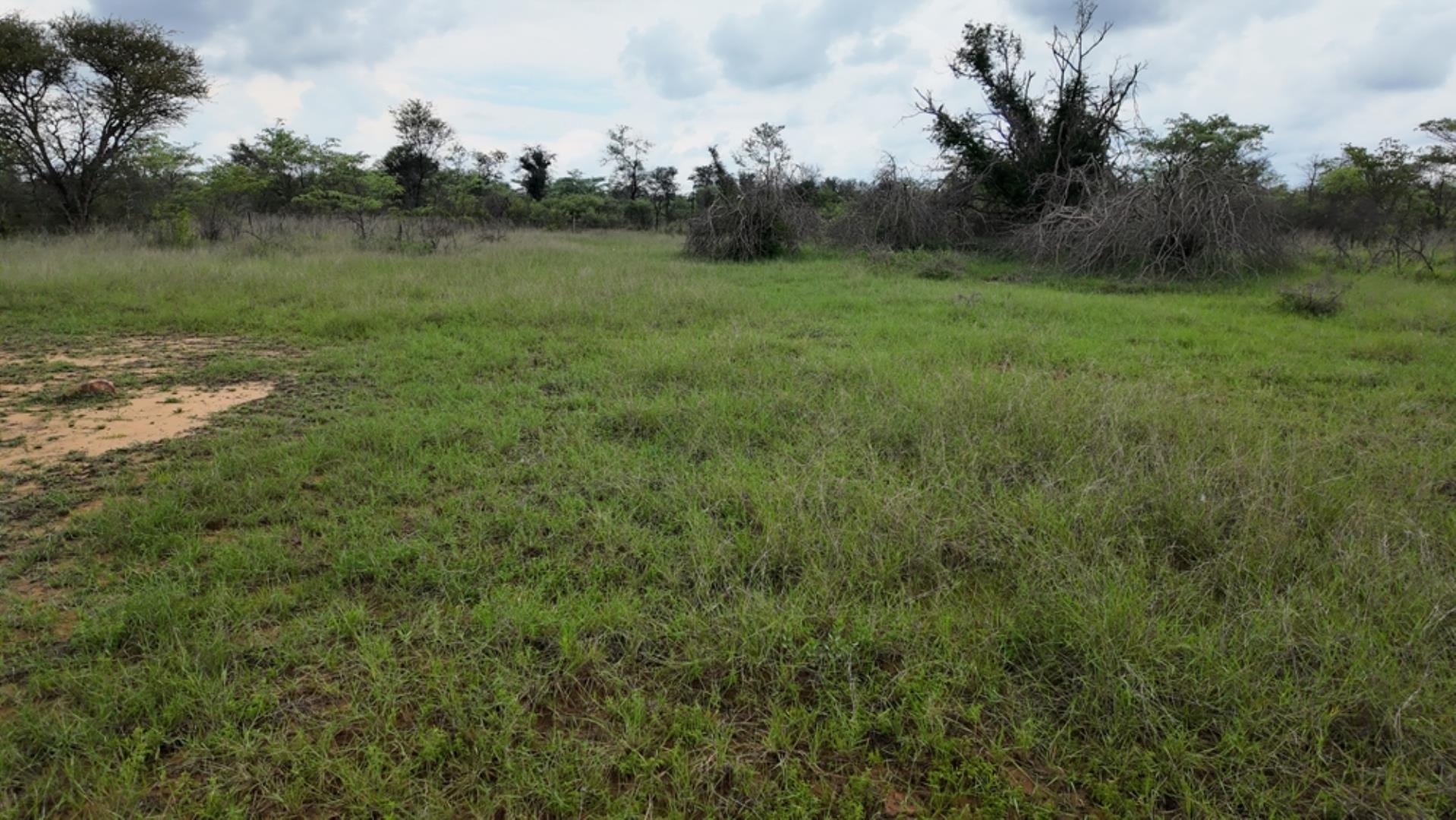 761940_530ha_Vaalwater_Undevelloped_Farm_(30).jpeg