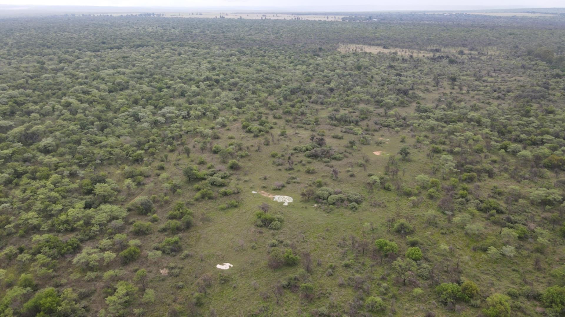 761940_530ha_Vaalwater_Undevelloped_Farm_(9).jpeg