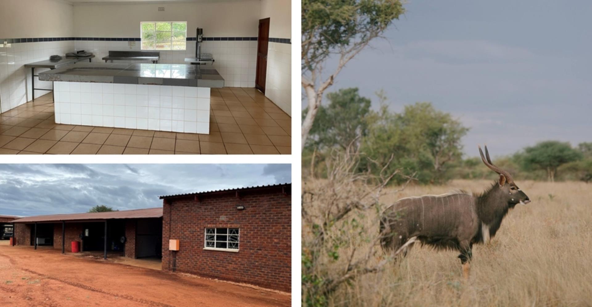 762221_1554ha_Exquisite_Game_Farm_with_Lodge_Venue_for_Sale_(53).jpeg