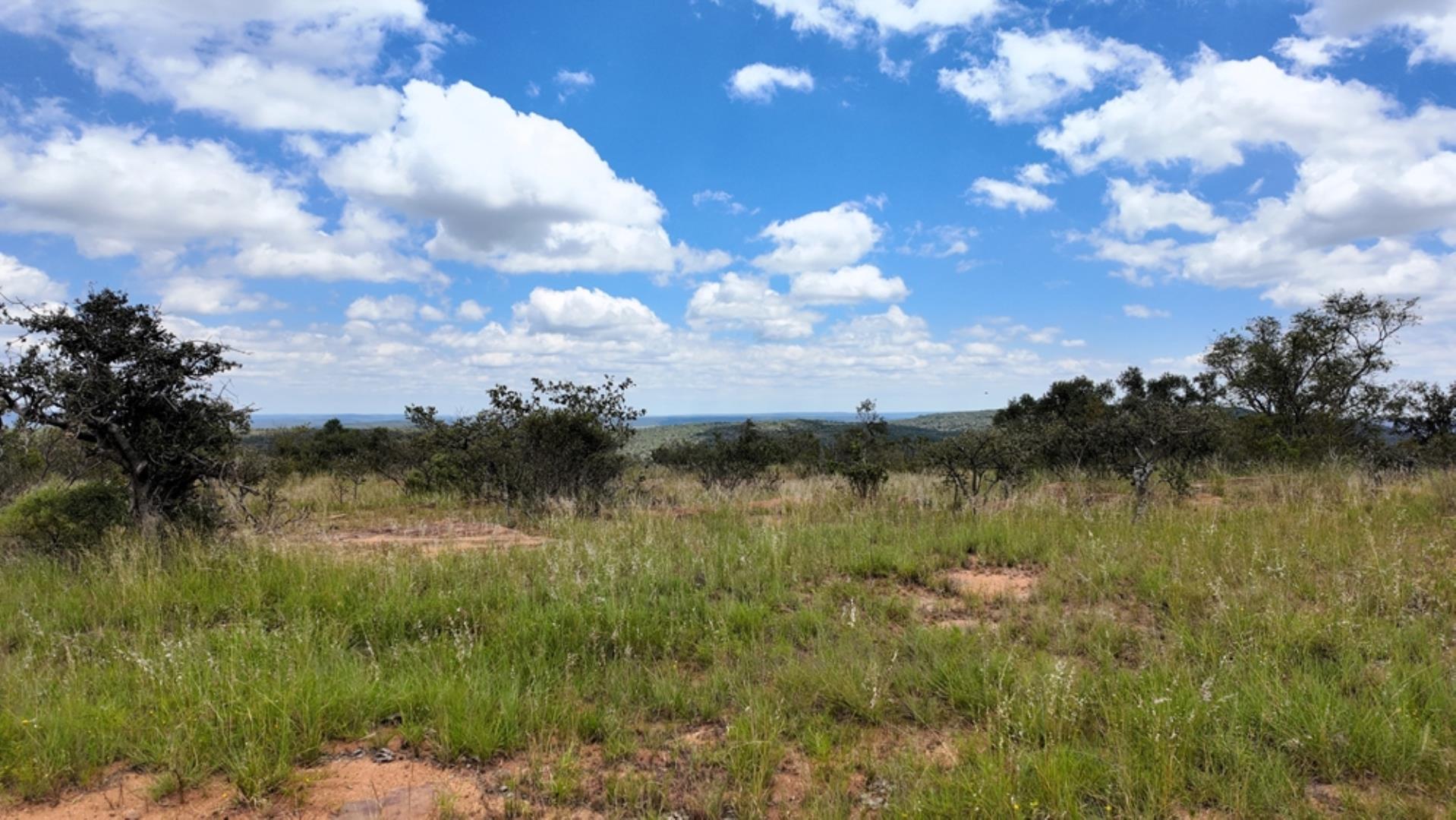762884_983ha_Cattle_Fartm_FOR_SALE_Naboomspruit_(74).jpeg
