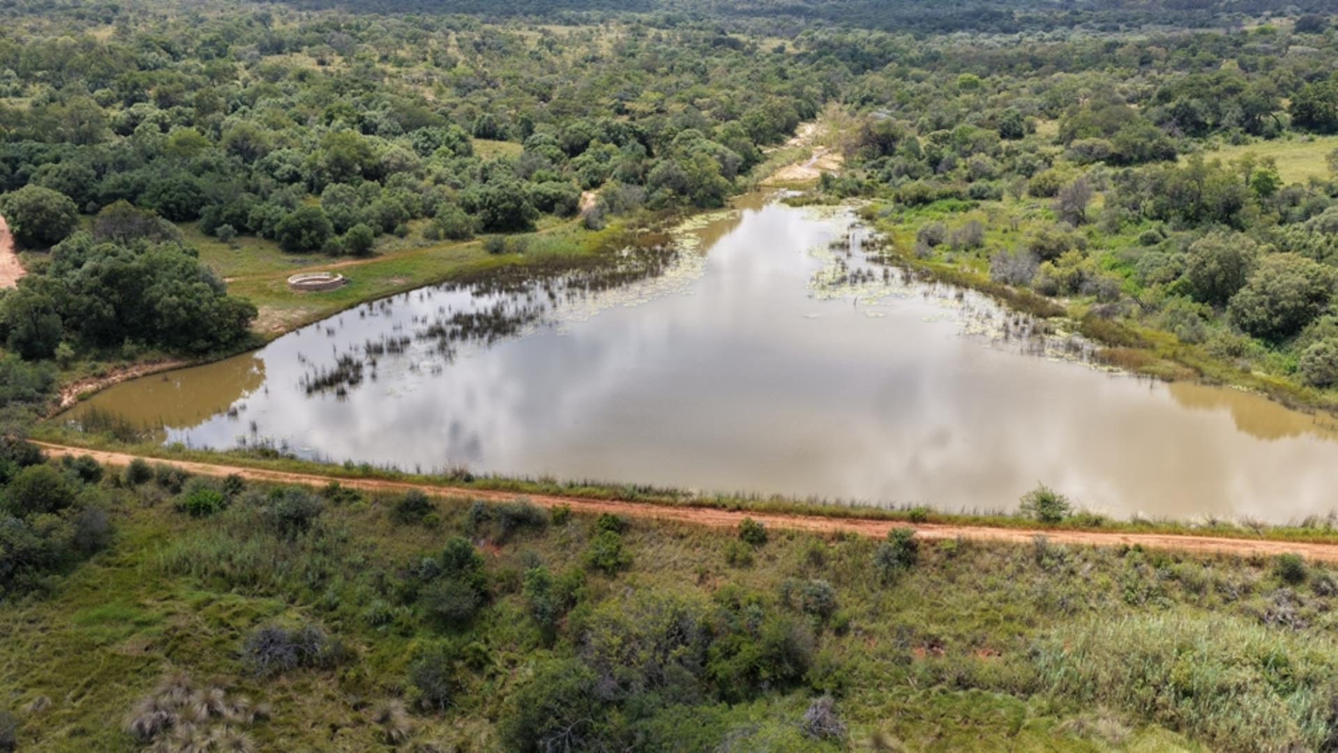 762993_333ha_Vaalwater_Farm_For_Sale_(106).jpeg