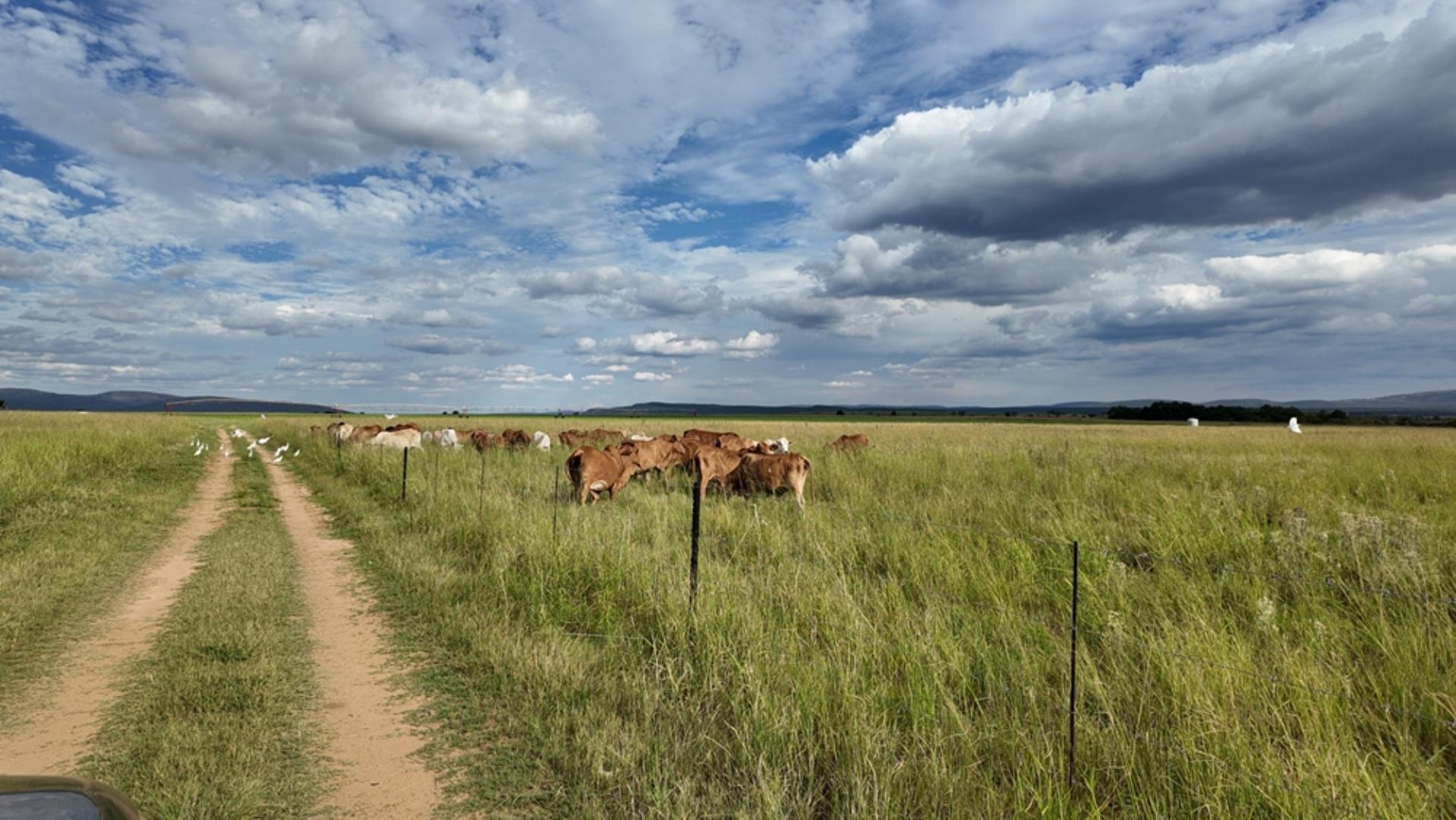 763067_408ha_Irrigation_and_Cattle_Farm_Alma_Area_(86).jpeg