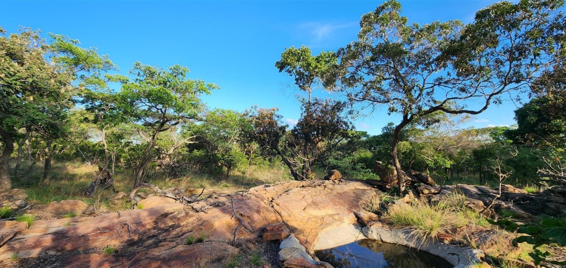 763086_Bushveld_5.jpg