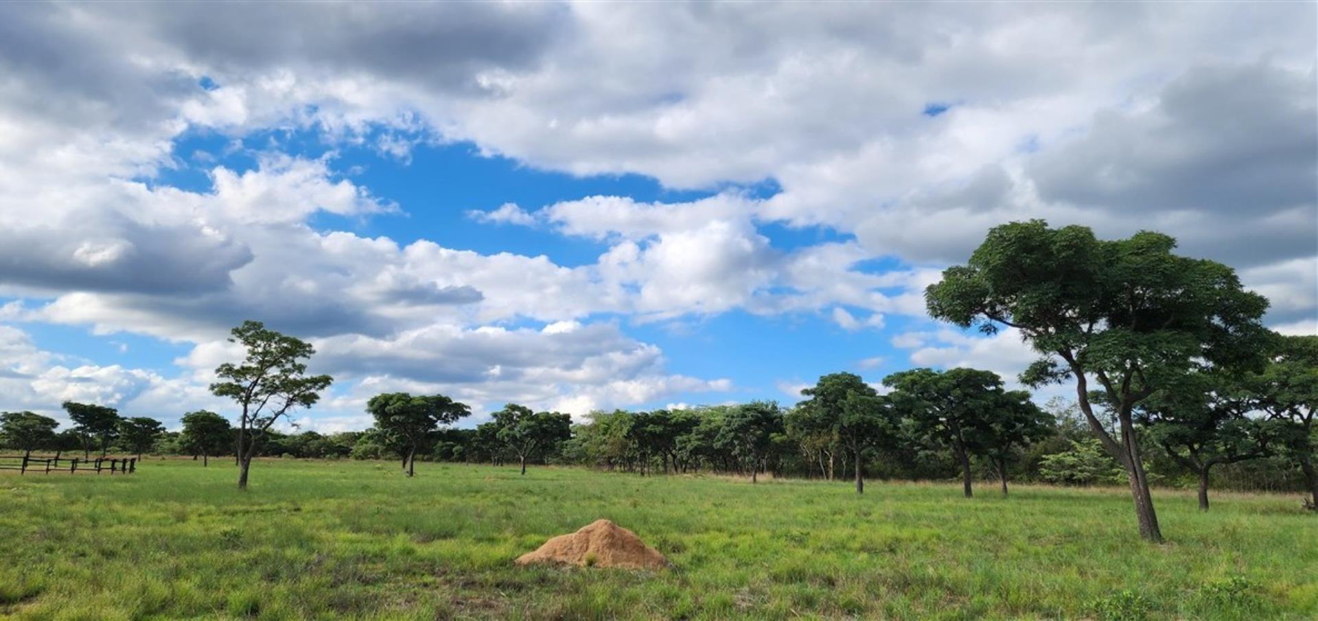 7 Bedroom Game Farm or Lodge for Sale - Limpopo