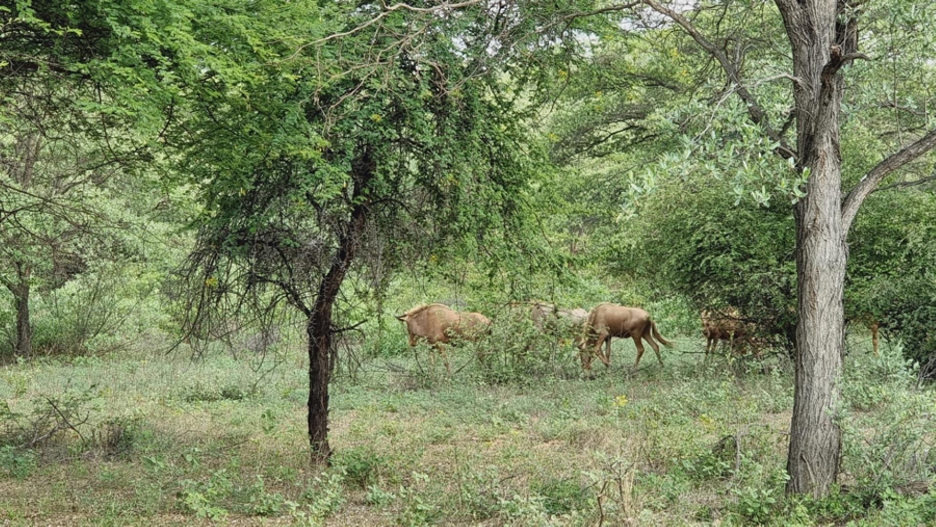 763685_24.jpg