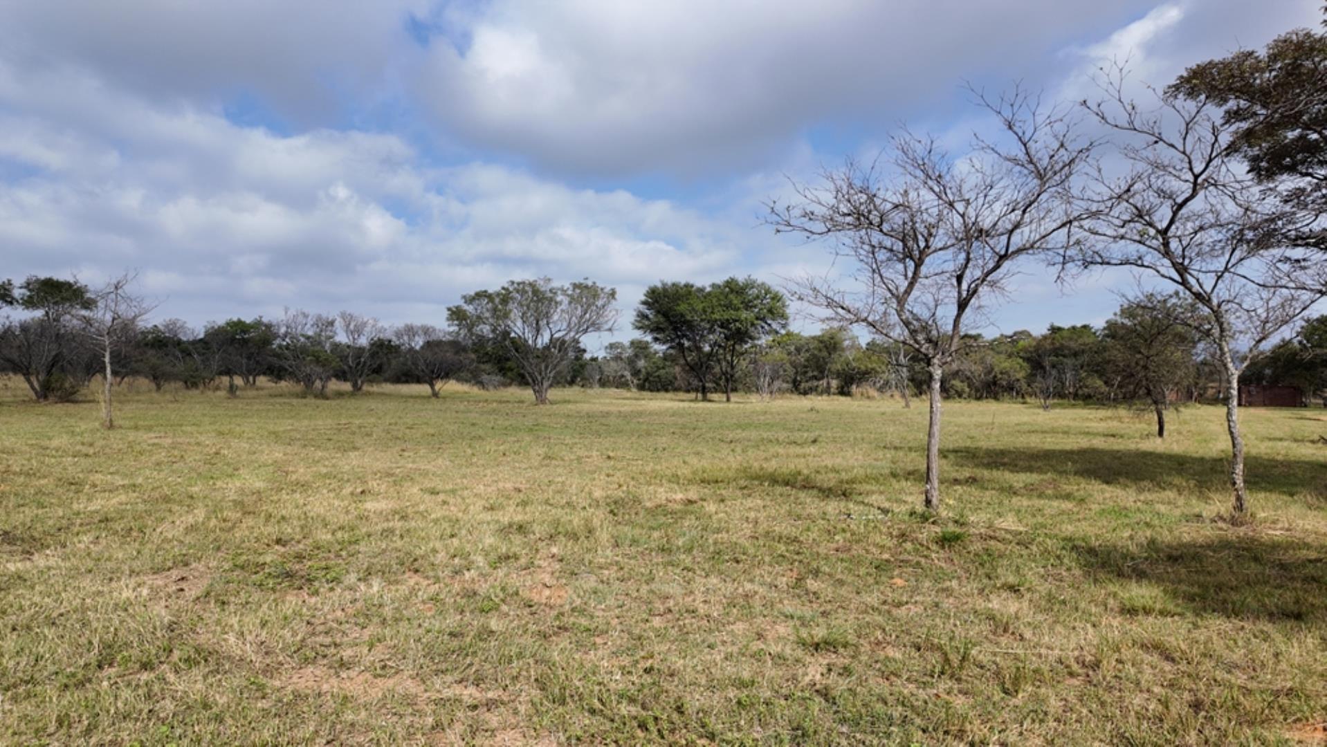 764009_143ha_Farm_for_Sale_Naboomspruit_(1).jpeg