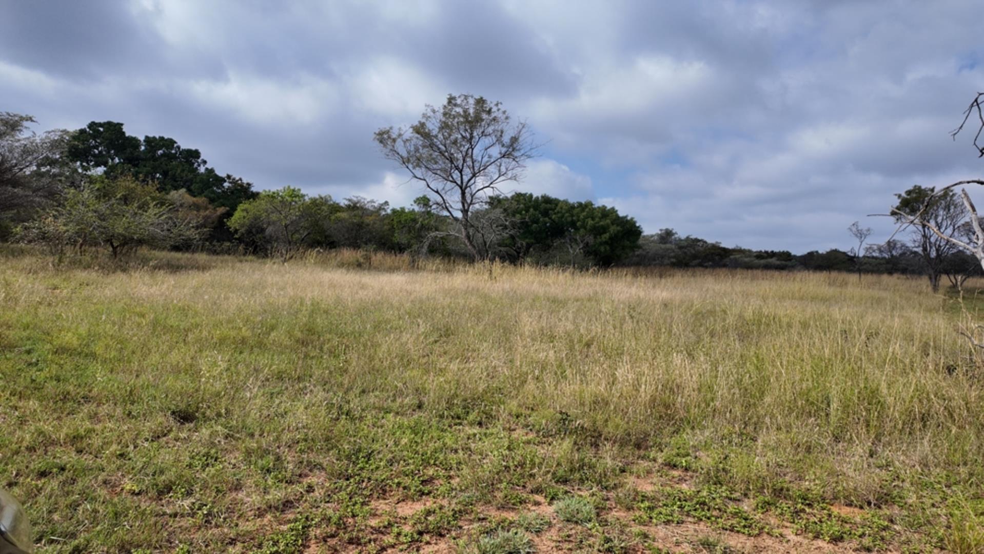 764009_143ha_Farm_for_Sale_Naboomspruit_(2).jpeg